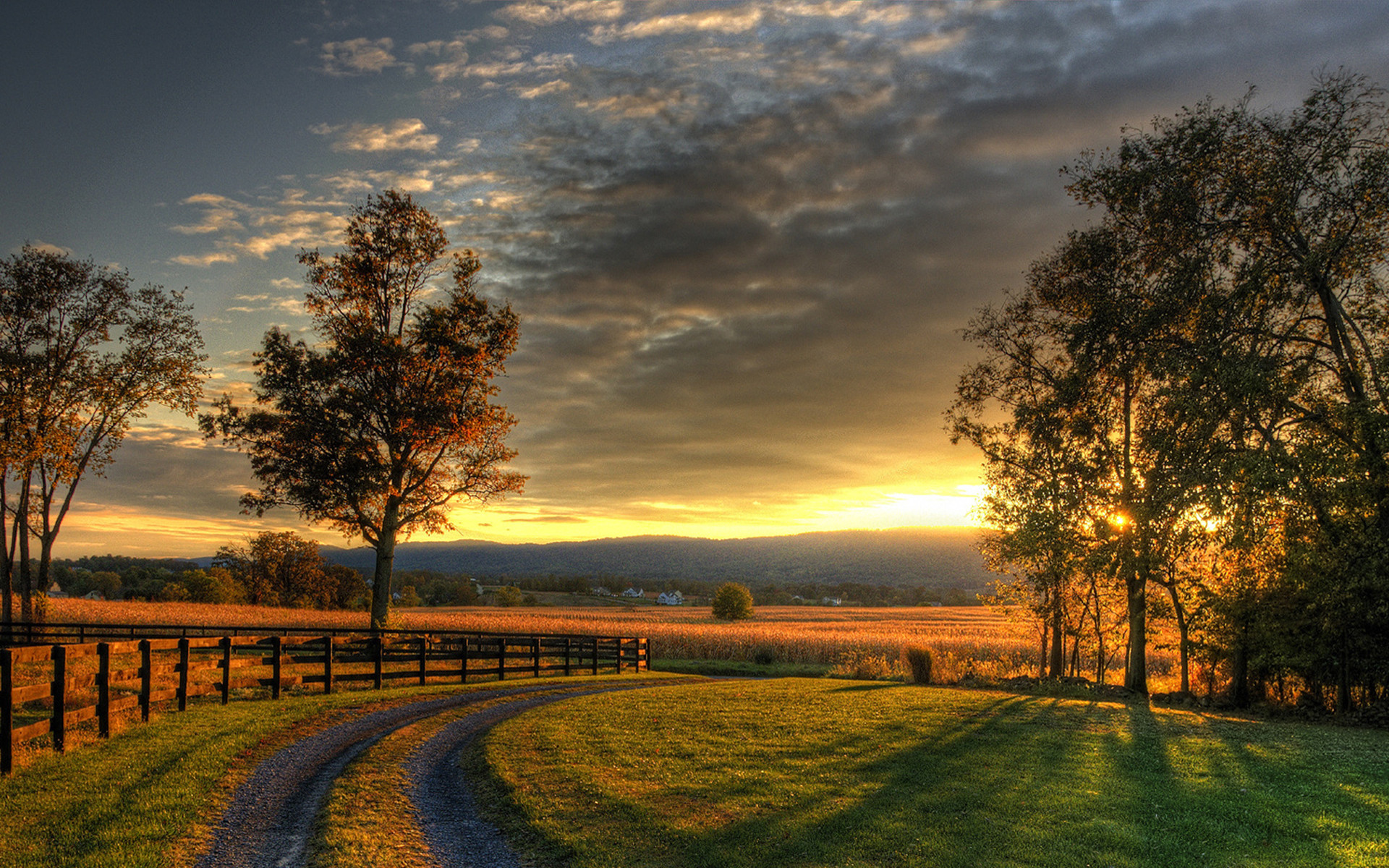 country road wallpaper,sky,natural landscape,nature,sunrise,tree