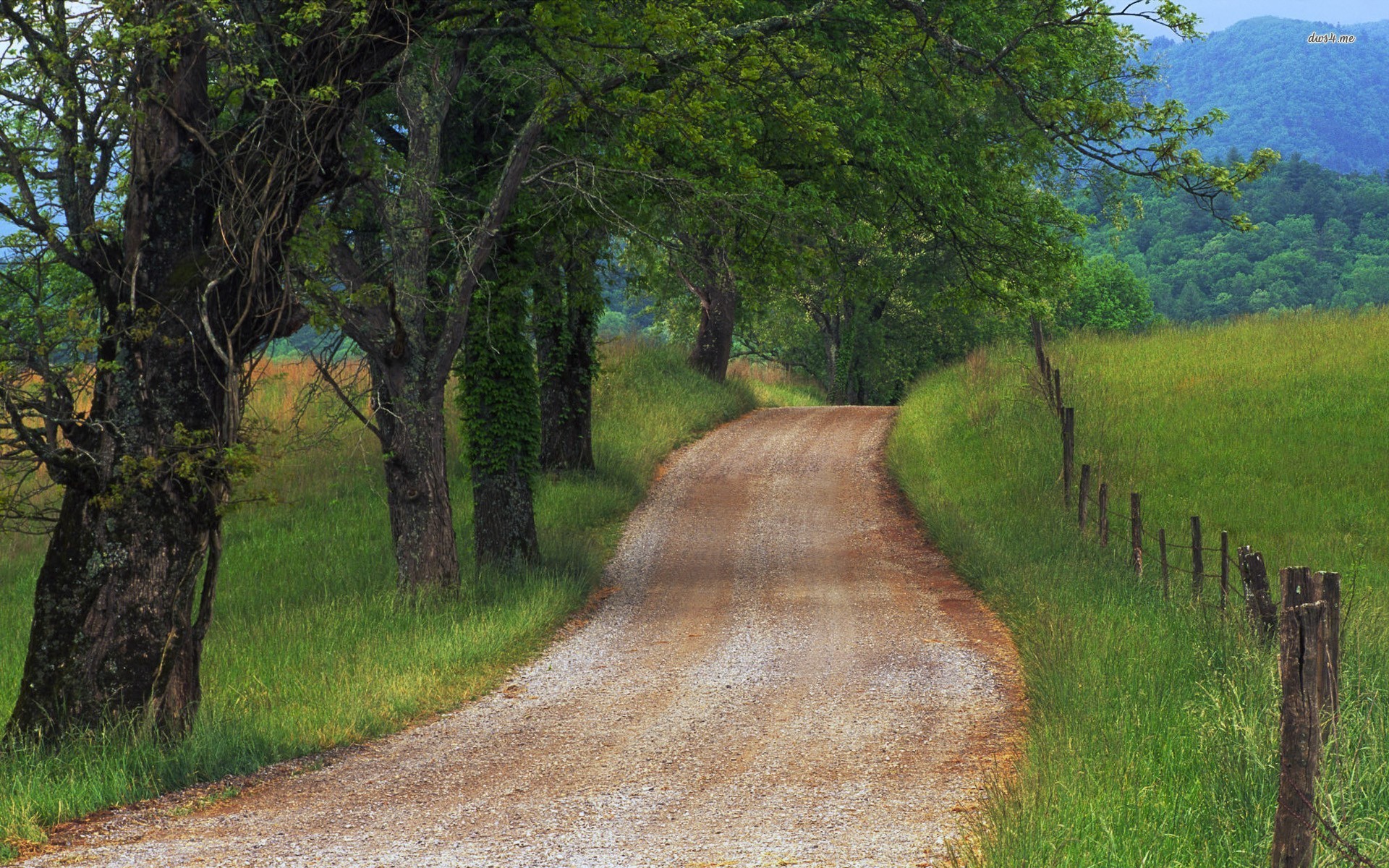 papier peint route de campagne,chemin de terre,paysage naturel,route,arbre,la nature