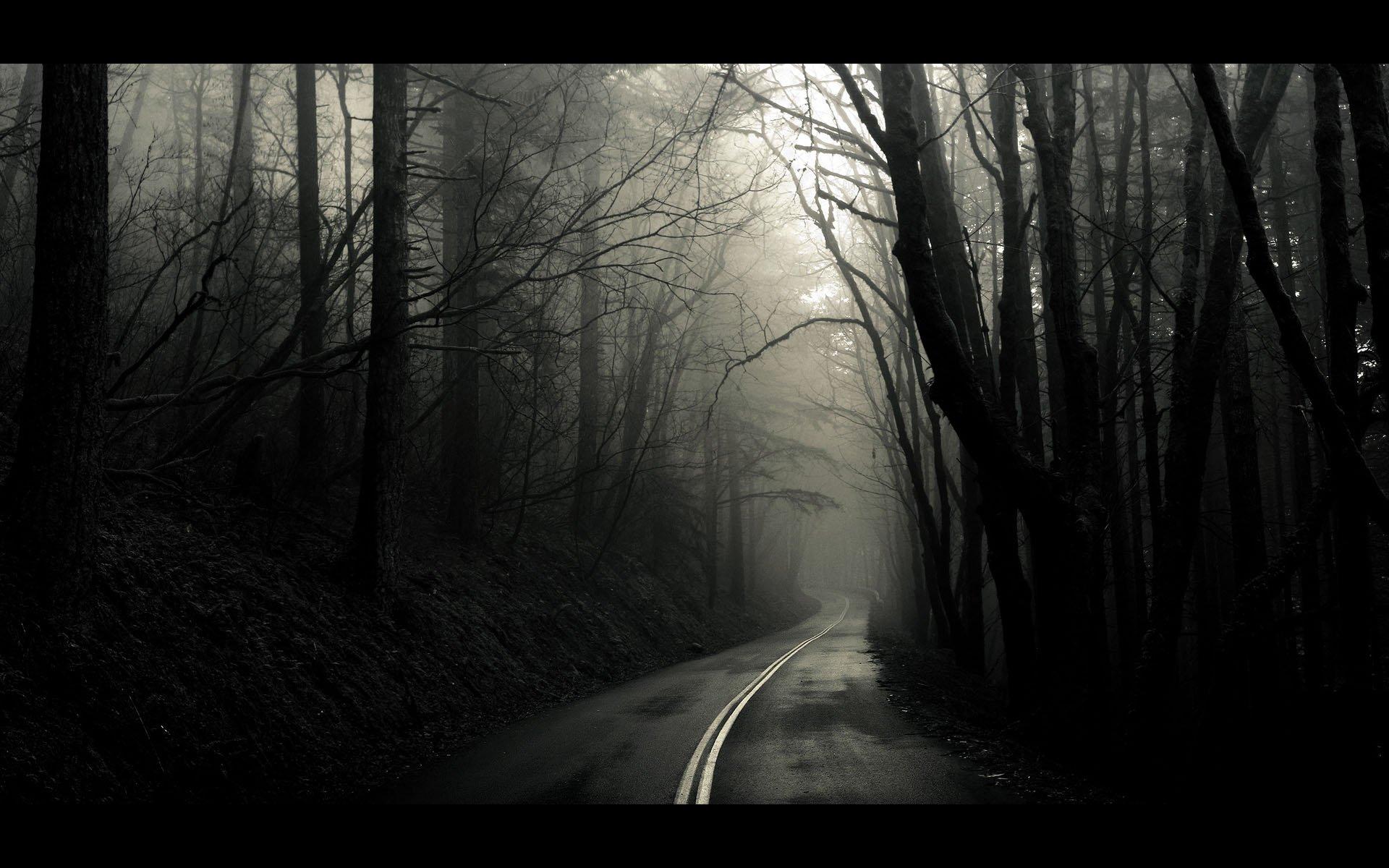 fondo de pantalla de carretera oscura,naturaleza,negro,blanco,árbol,bosque
