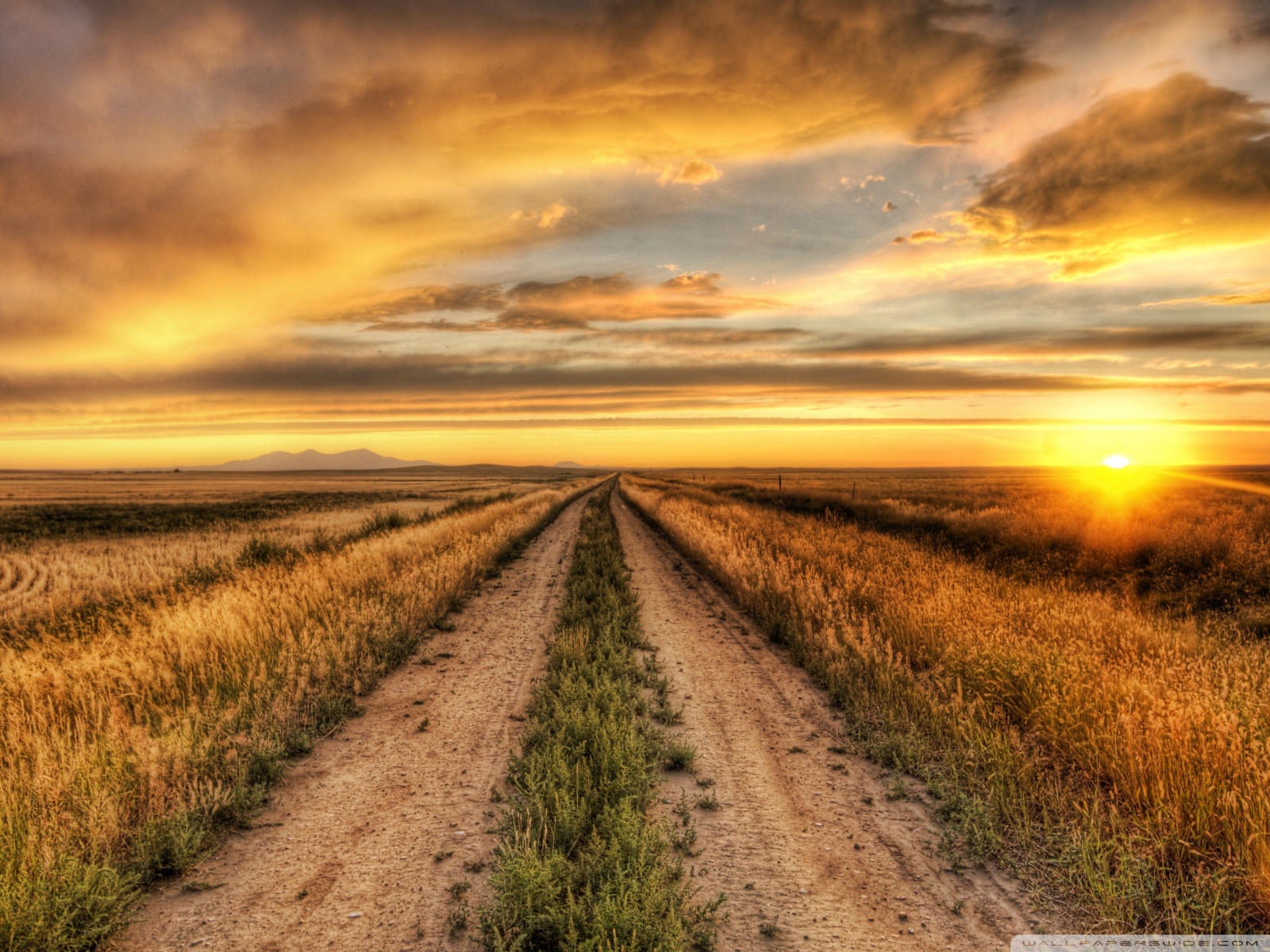 landstraße tapete,natürliche landschaft,himmel,natur,feld,horizont