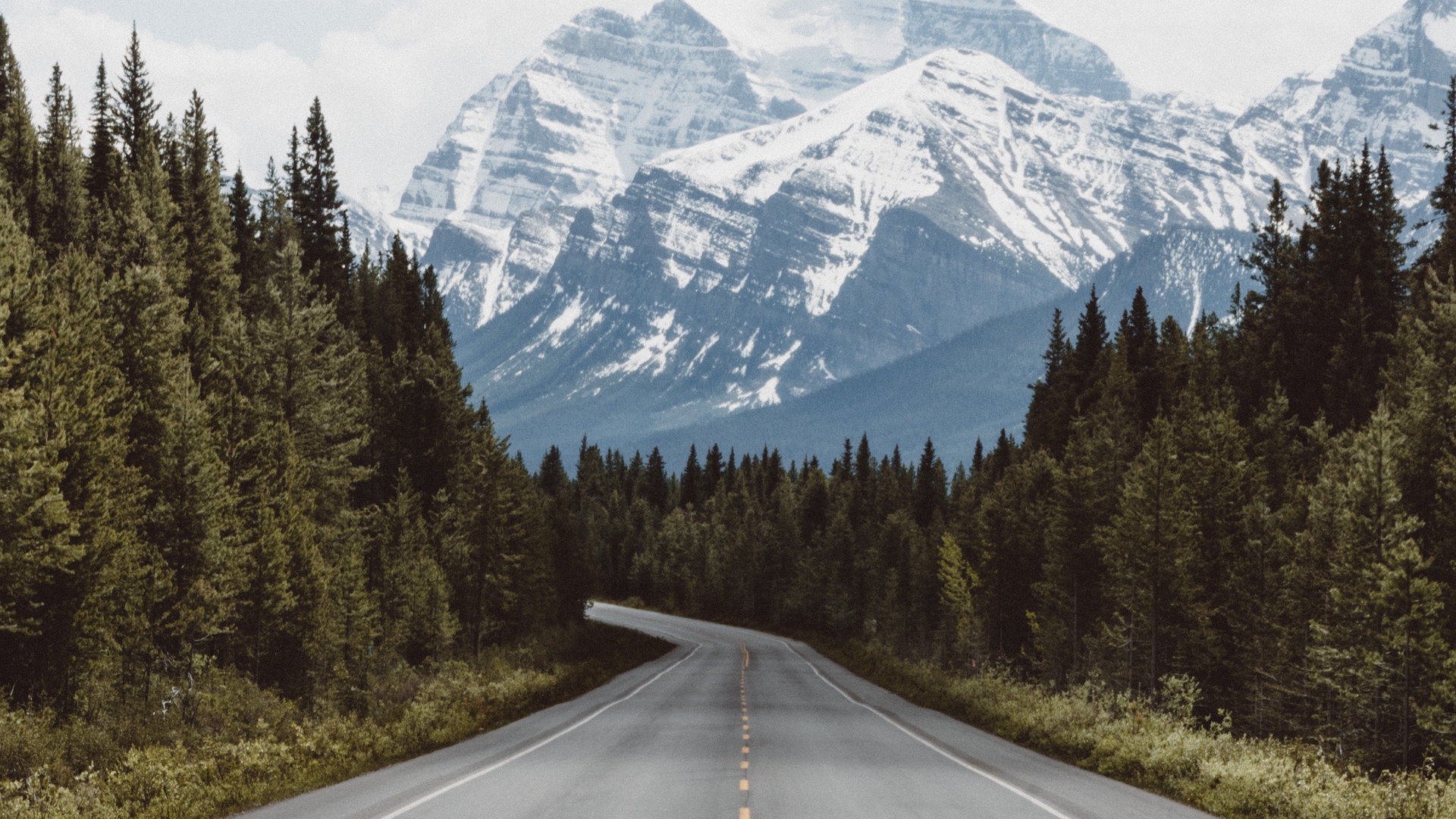 fondo de pantalla de carretera 1080p,montaña,la carretera,paisaje natural,cordillera,árbol