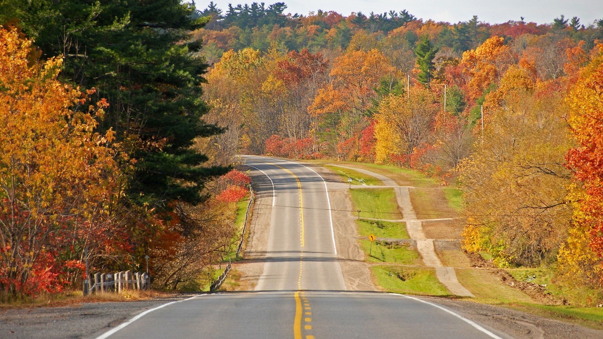 straßentapete 1080p,straße,natürliche landschaft,blatt,baum,autobahn