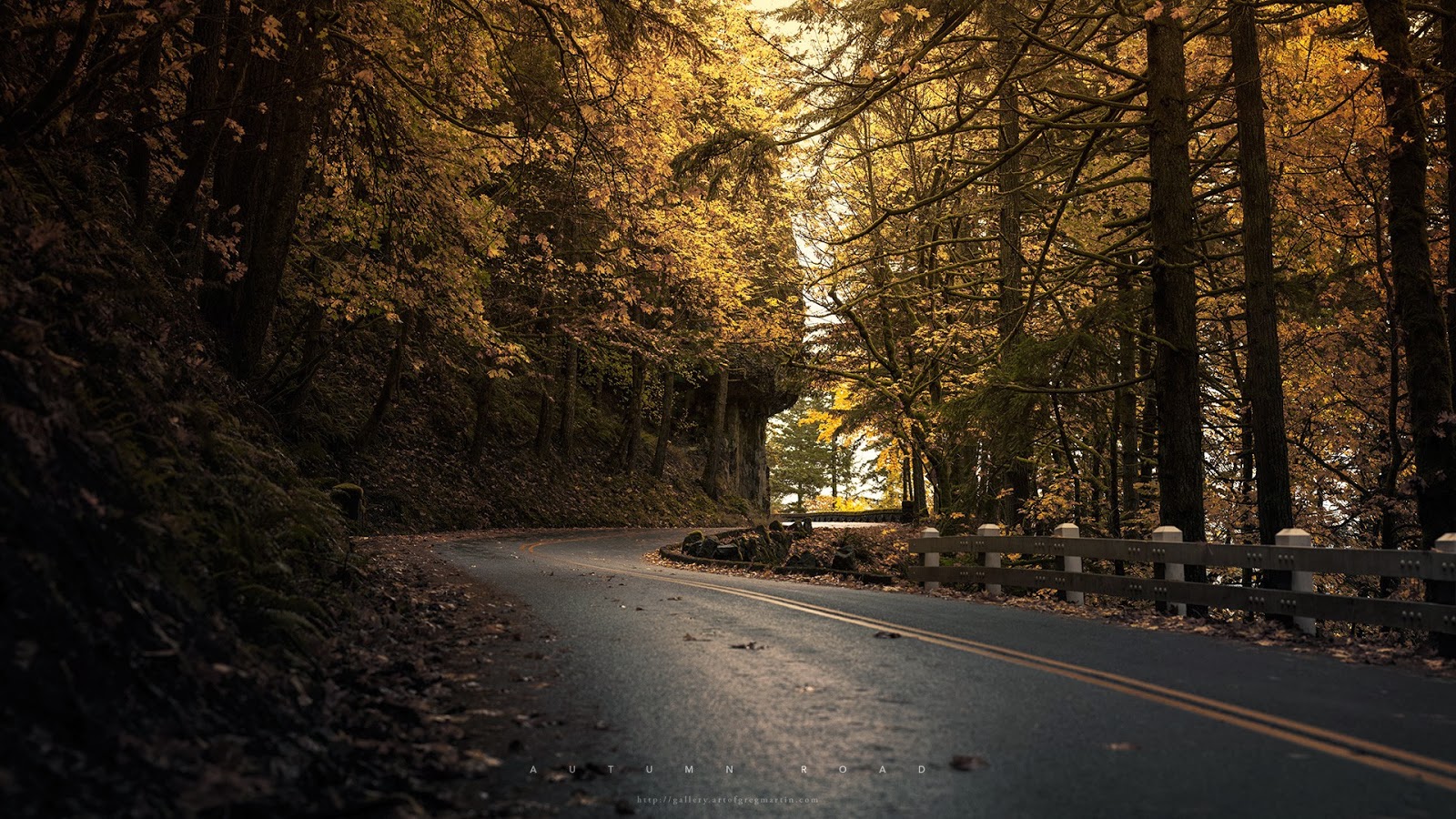 道路壁紙1080p,自然の風景,木,自然,葉,空