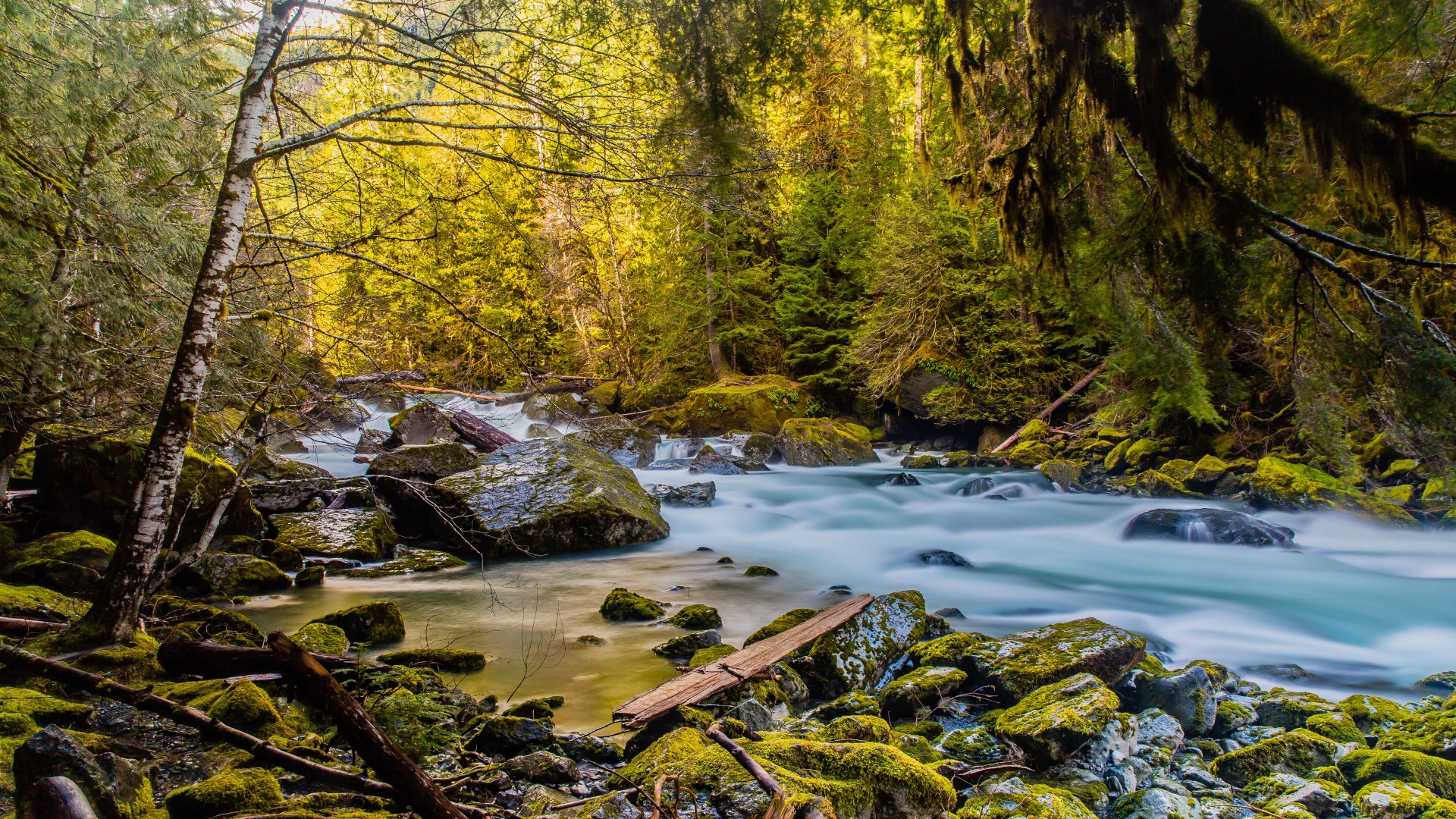 bella immagine hd wallpaper,paesaggio naturale,natura,corpo d'acqua,ruscello,alveo