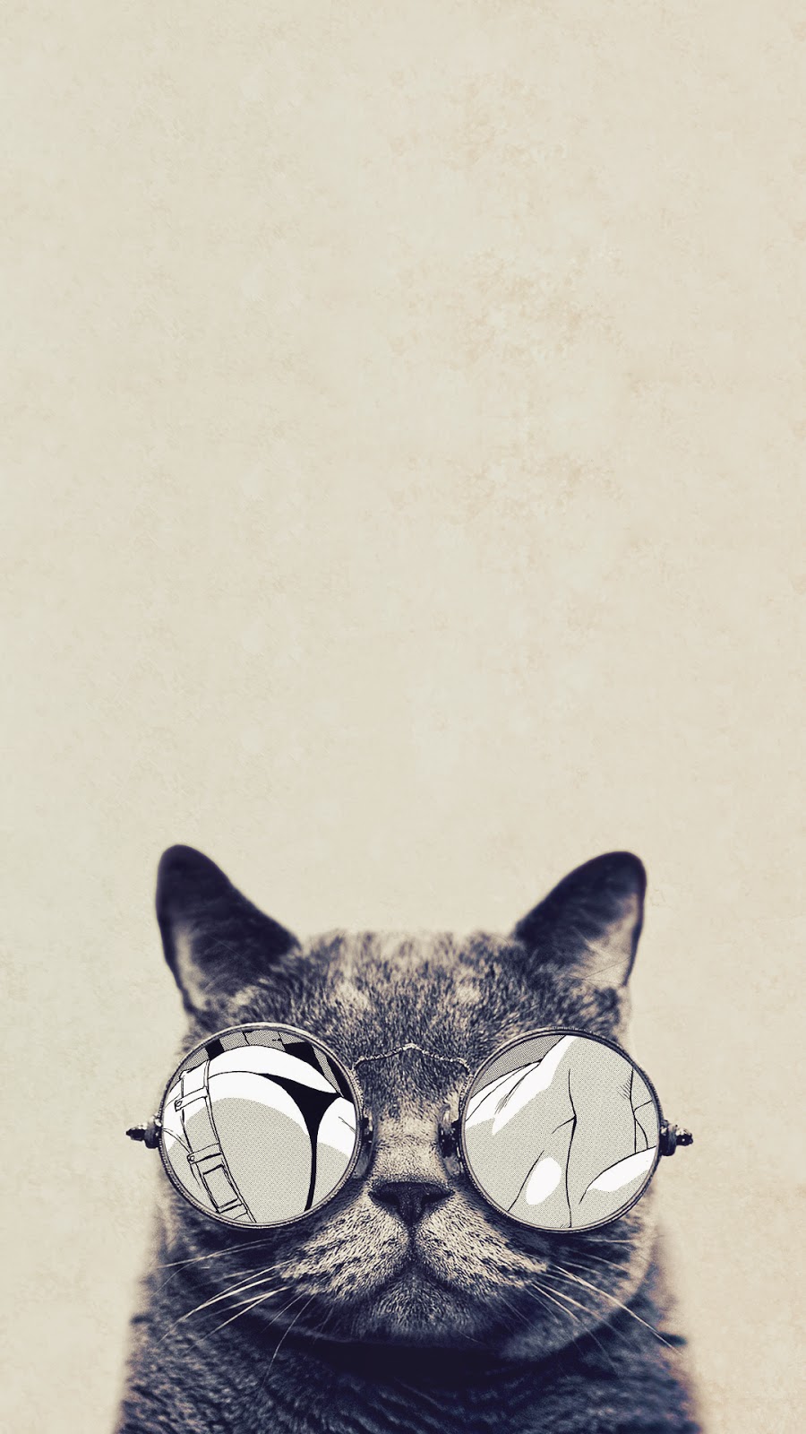 溶岩アイリスのhdの壁紙,ネコ科,ネコ,ひげ,鼻,中型から中型の猫