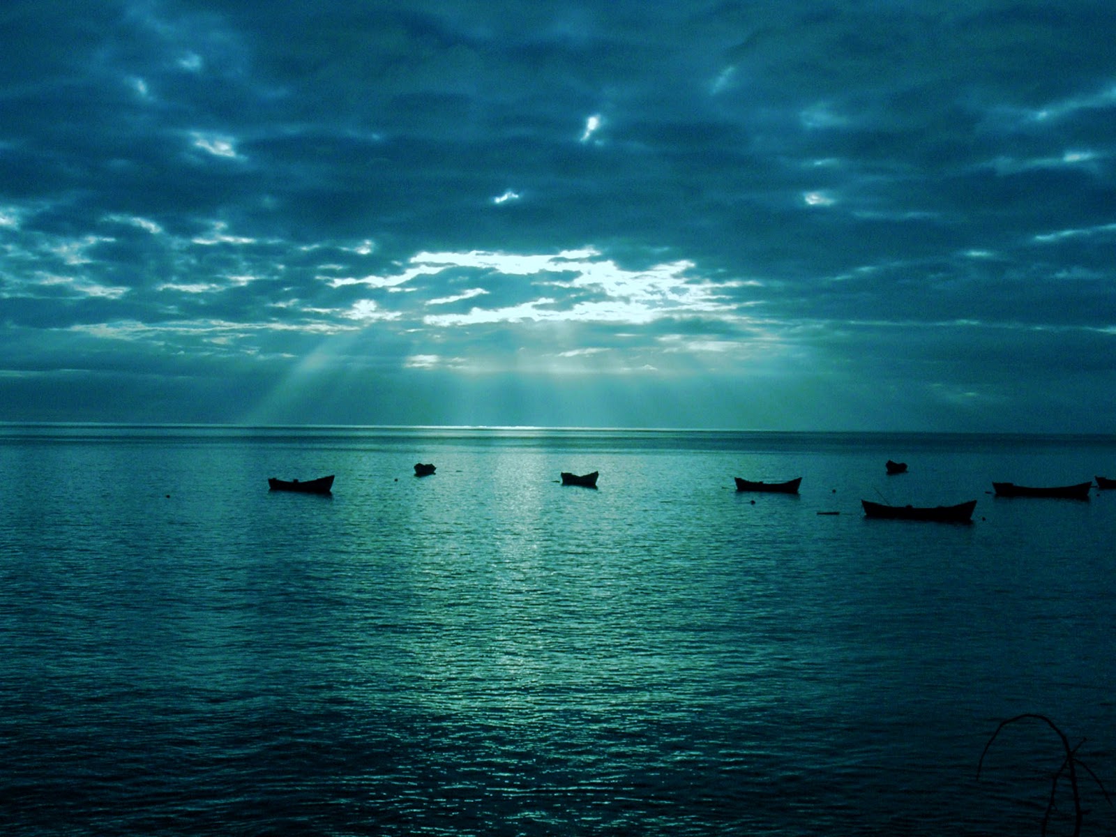 iris de lave fond d'écran hd,ciel,bleu,l'eau,mer,horizon