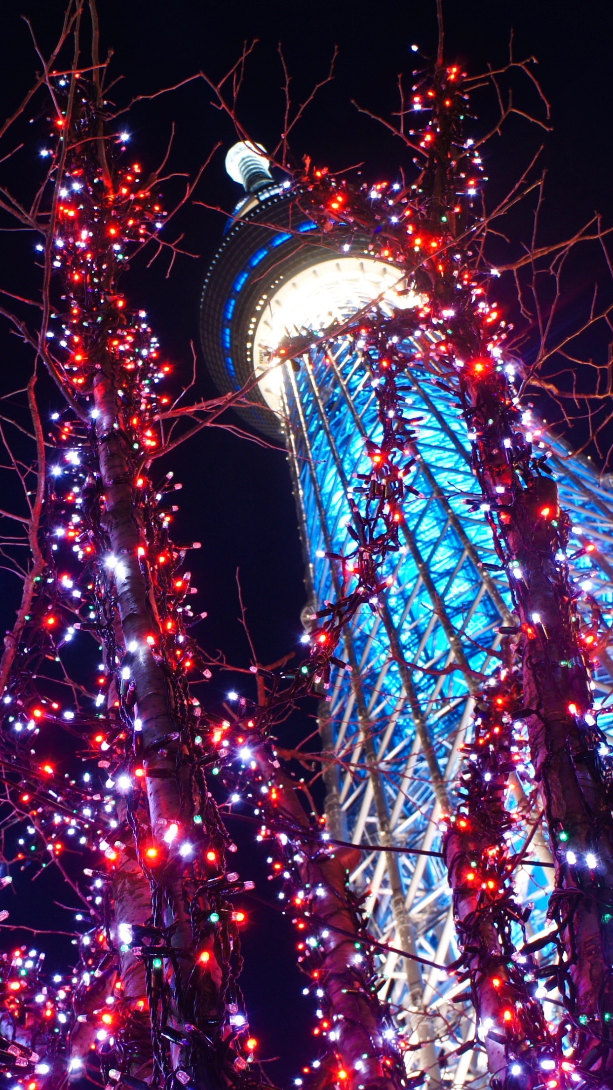 東京のiphoneの壁紙,クリスマスのあかり,クリスマスの飾り,木,点灯,クリスマス