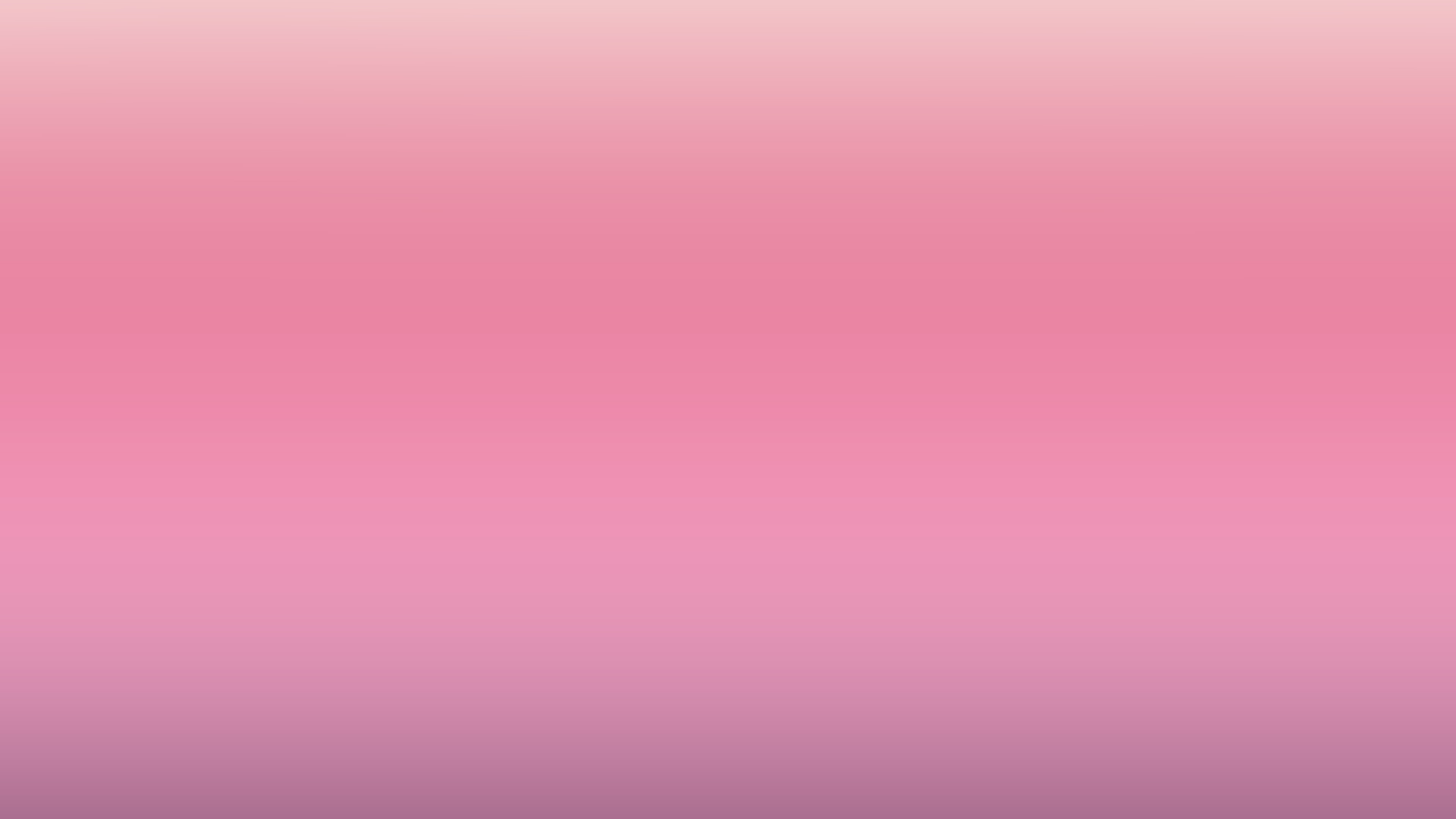 소프트 핑크 벽지,분홍,보라색,제비꽃,라일락 꽃,빨간