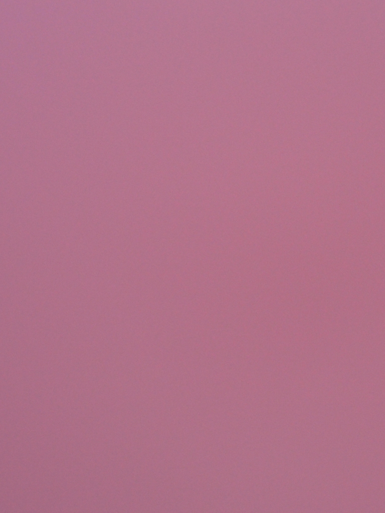 柔らかいピンクの壁紙,ピンク,バイオレット,紫の,ライラック,空