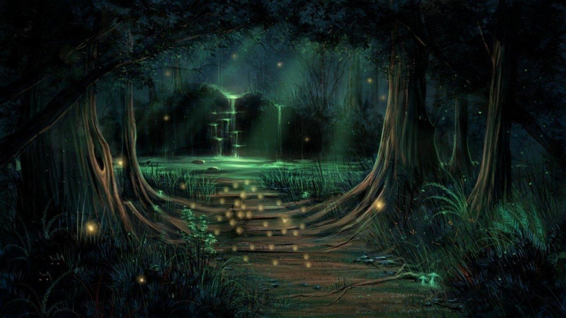 papier peint enchanté,la nature,vert,ténèbres,lumière,arbre
