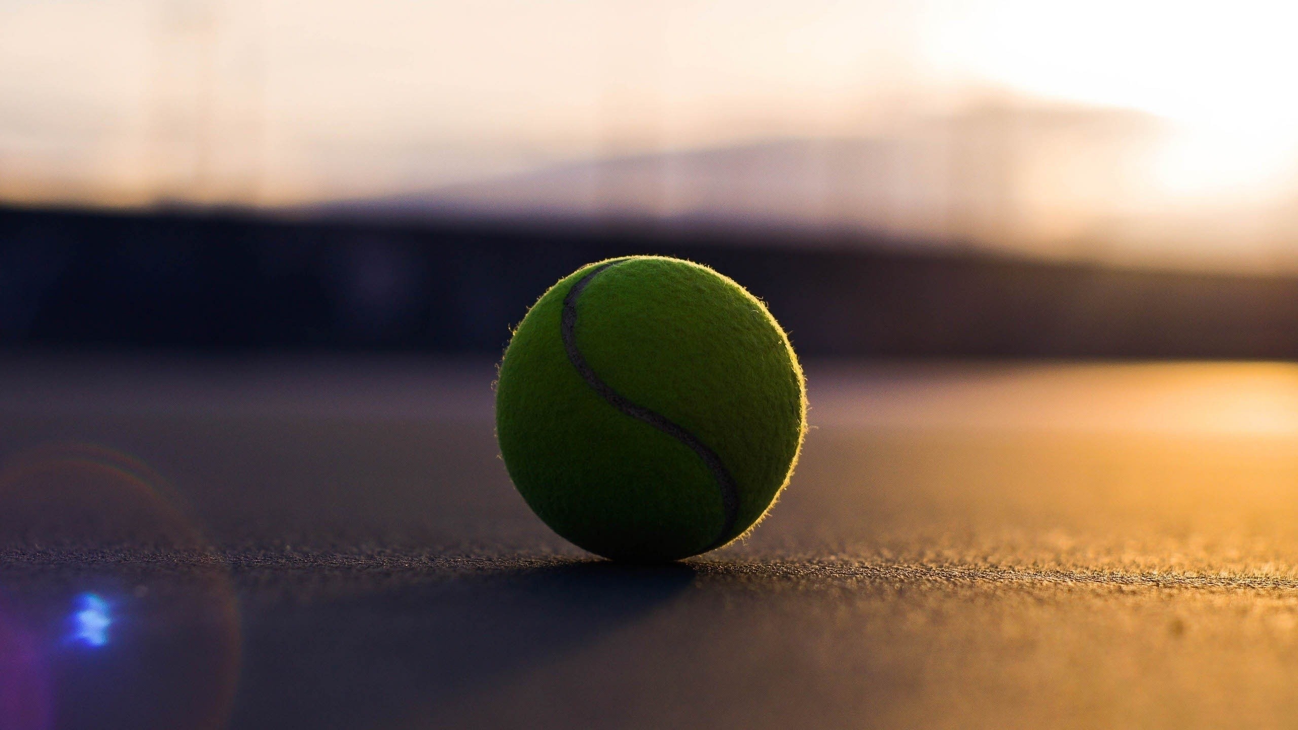 공 벽지 hd,초록,테니스 공,테니스,테니스 코트,스포츠 장비