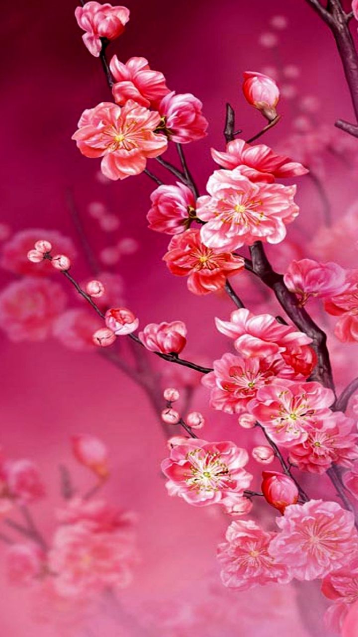 桜のモバイル壁紙,花,ピンク,花,桜の花,工場