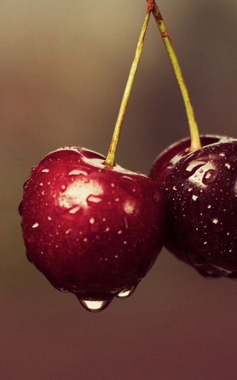 cherry mobile wallpaper,cherry,fruit,plant,food,natural foods