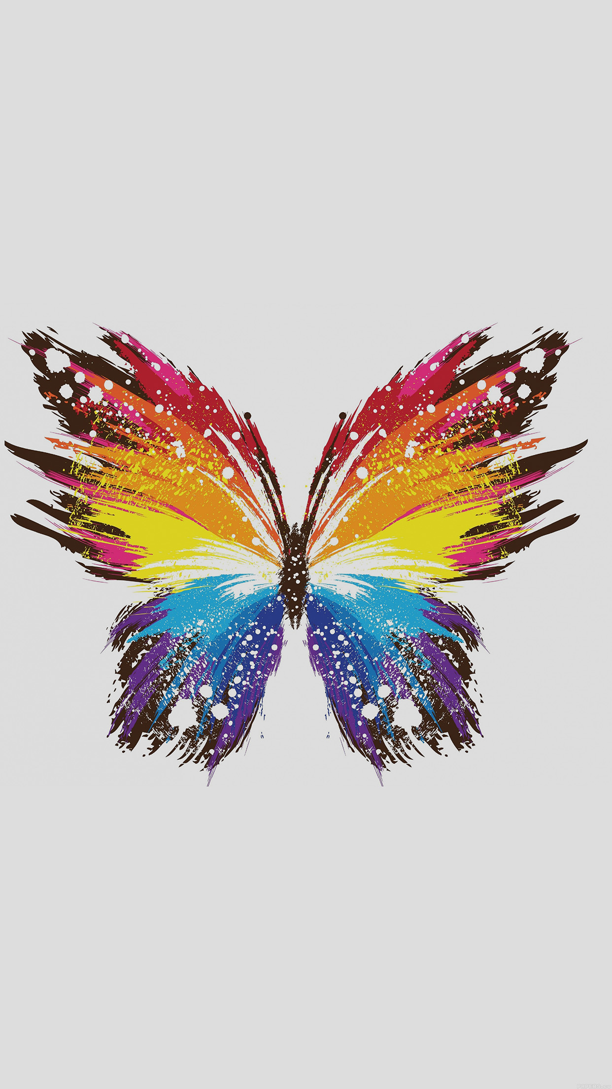 fond d'écran papillon iphone,papillon,aile,plume,insecte,papillons et papillons