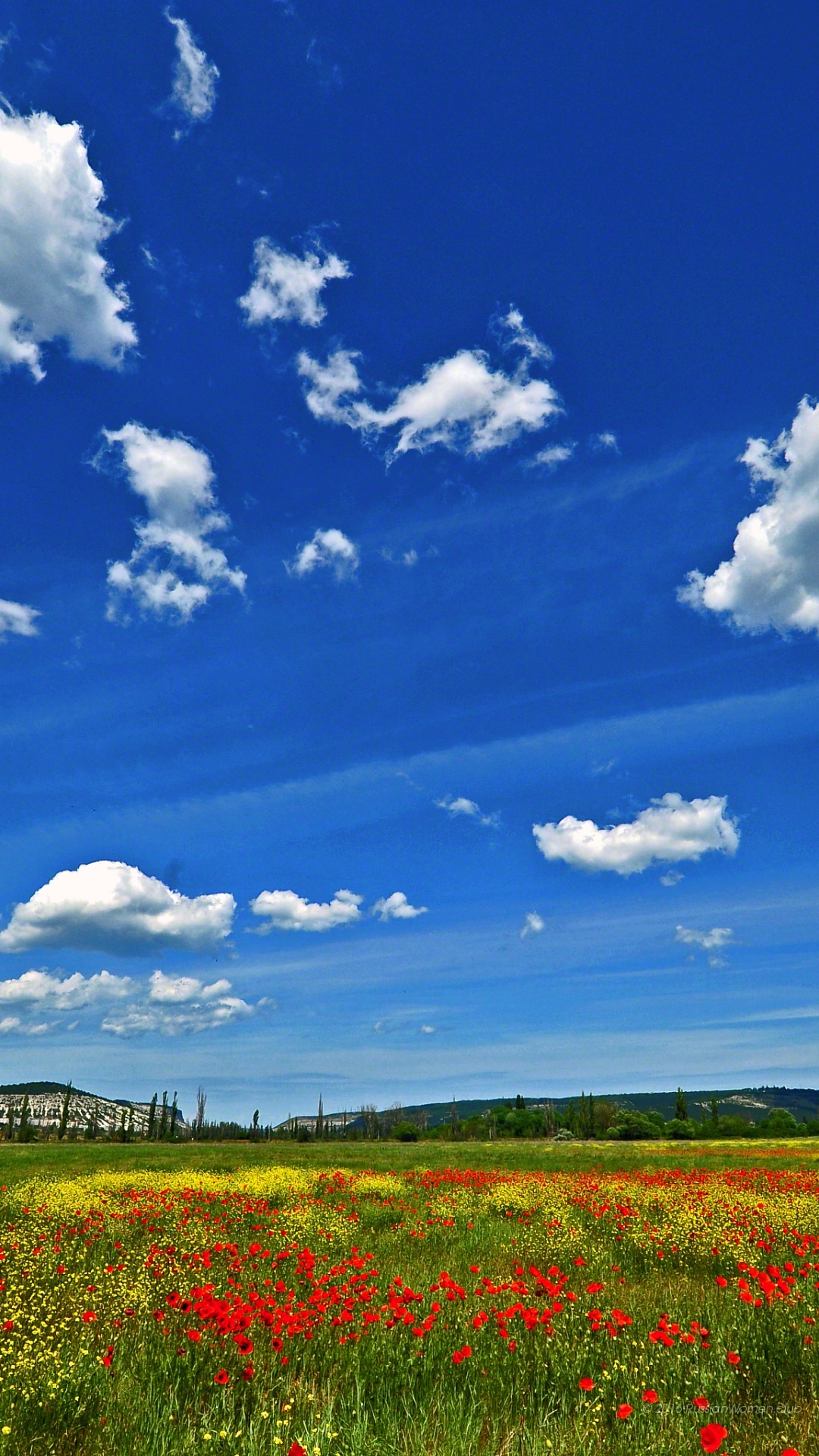 fondo de pantalla de karbonn,cielo,paisaje natural,naturaleza,pradera,nube