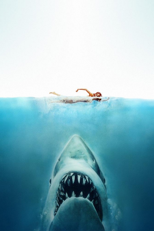 fond d'écran 640x960,grand requin blanc,requin,poisson,poisson cartilagineux,requin tigre