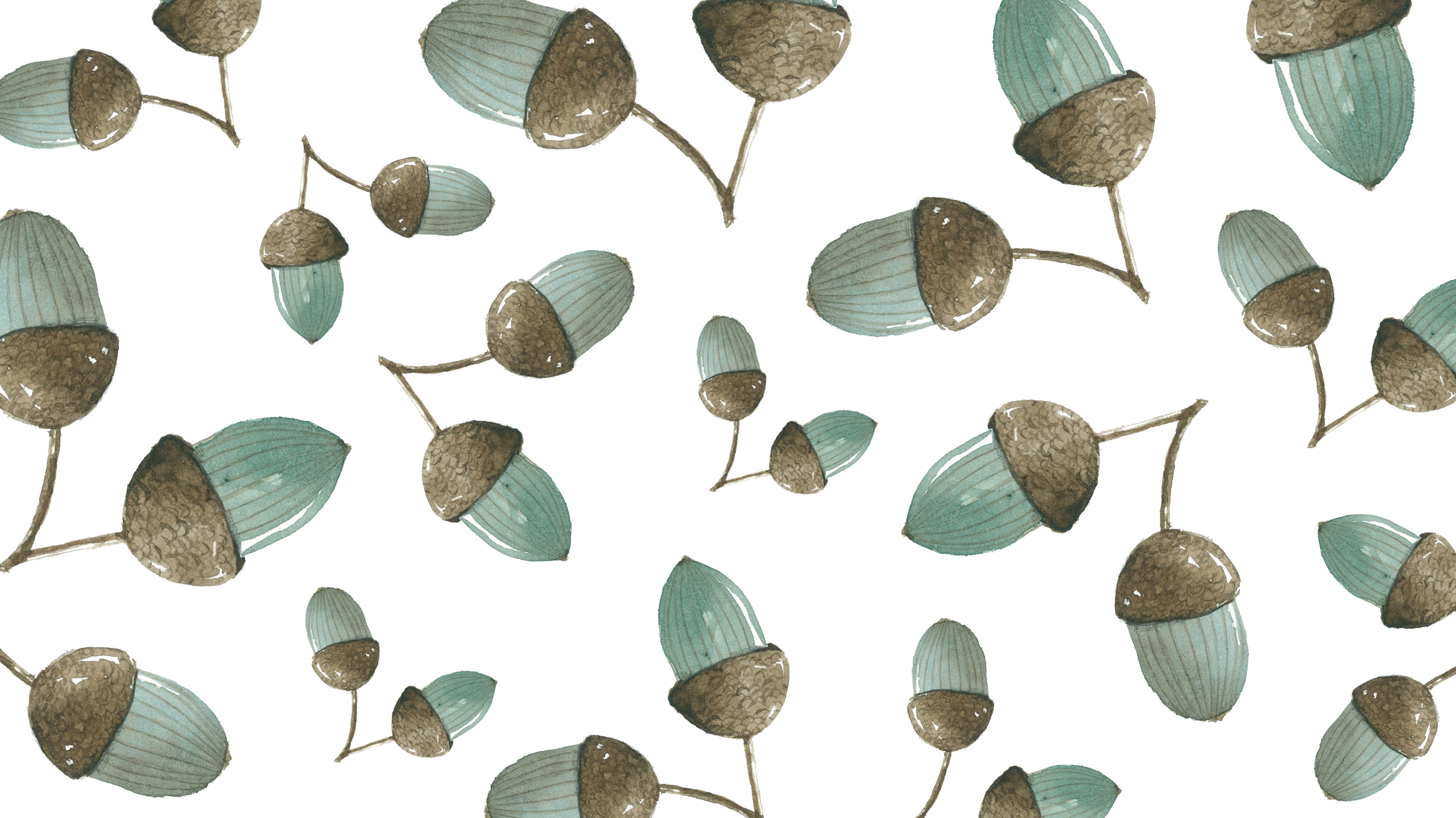 acorn wallpaper,plant