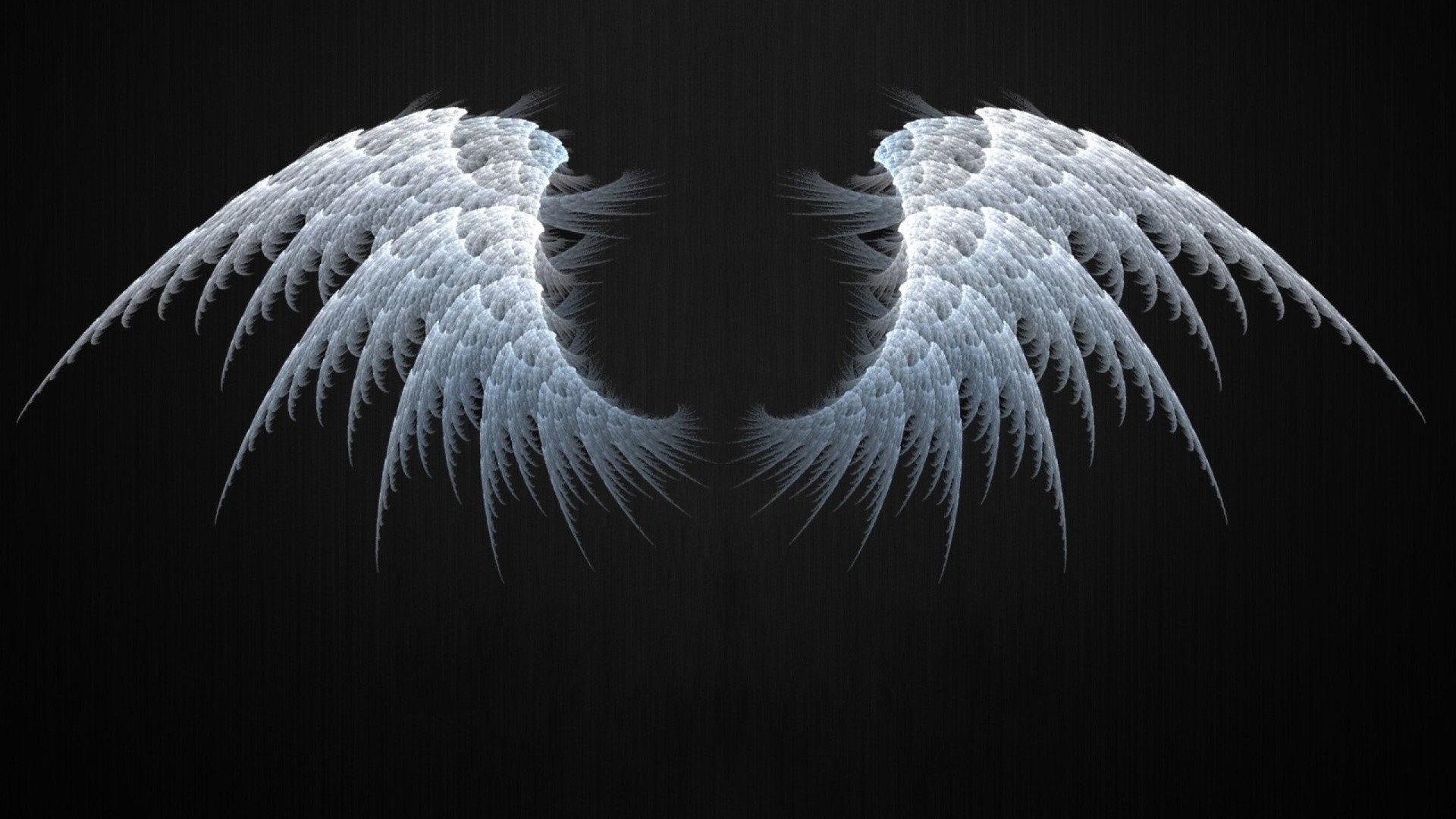 wings wallpaper hd,feather,black,wing,black and white,eye