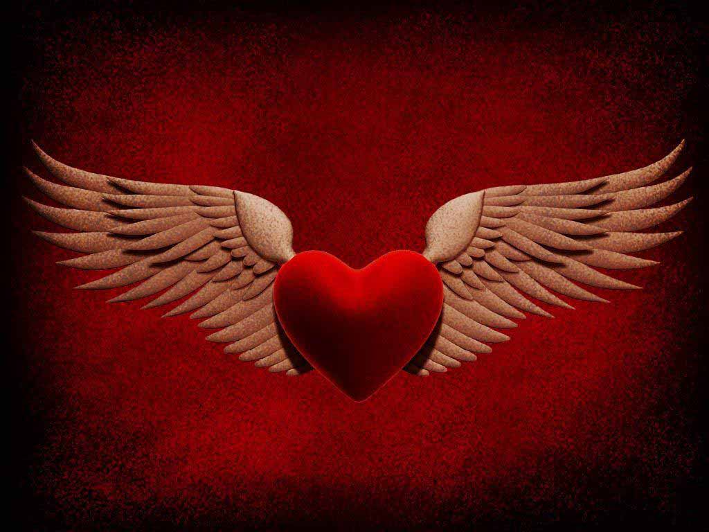 날개 벽지 hd,빨간,날개,사랑,심장,인간의 몸