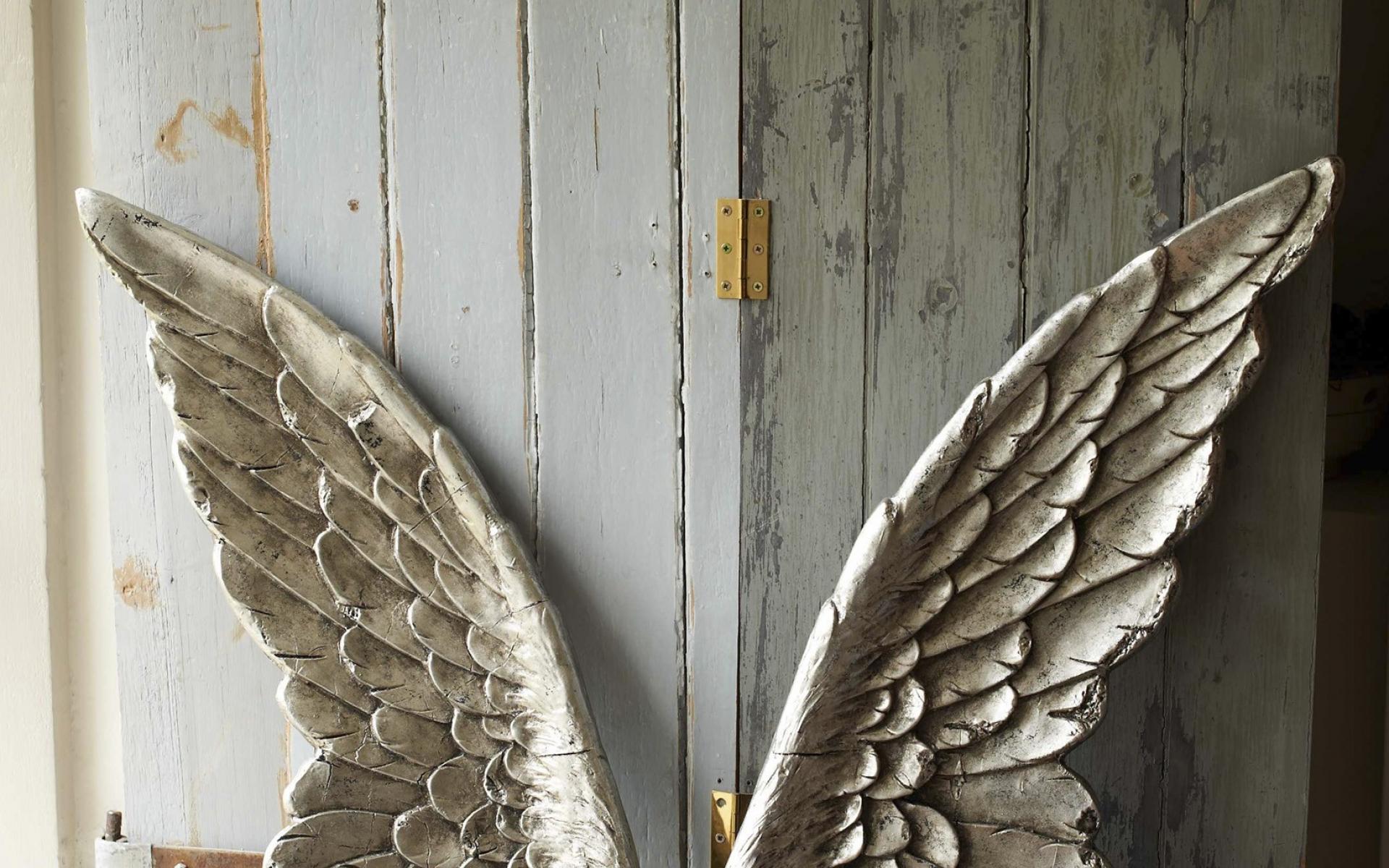 wings wallpaper hd,feather,leaf,wall,wing,architecture