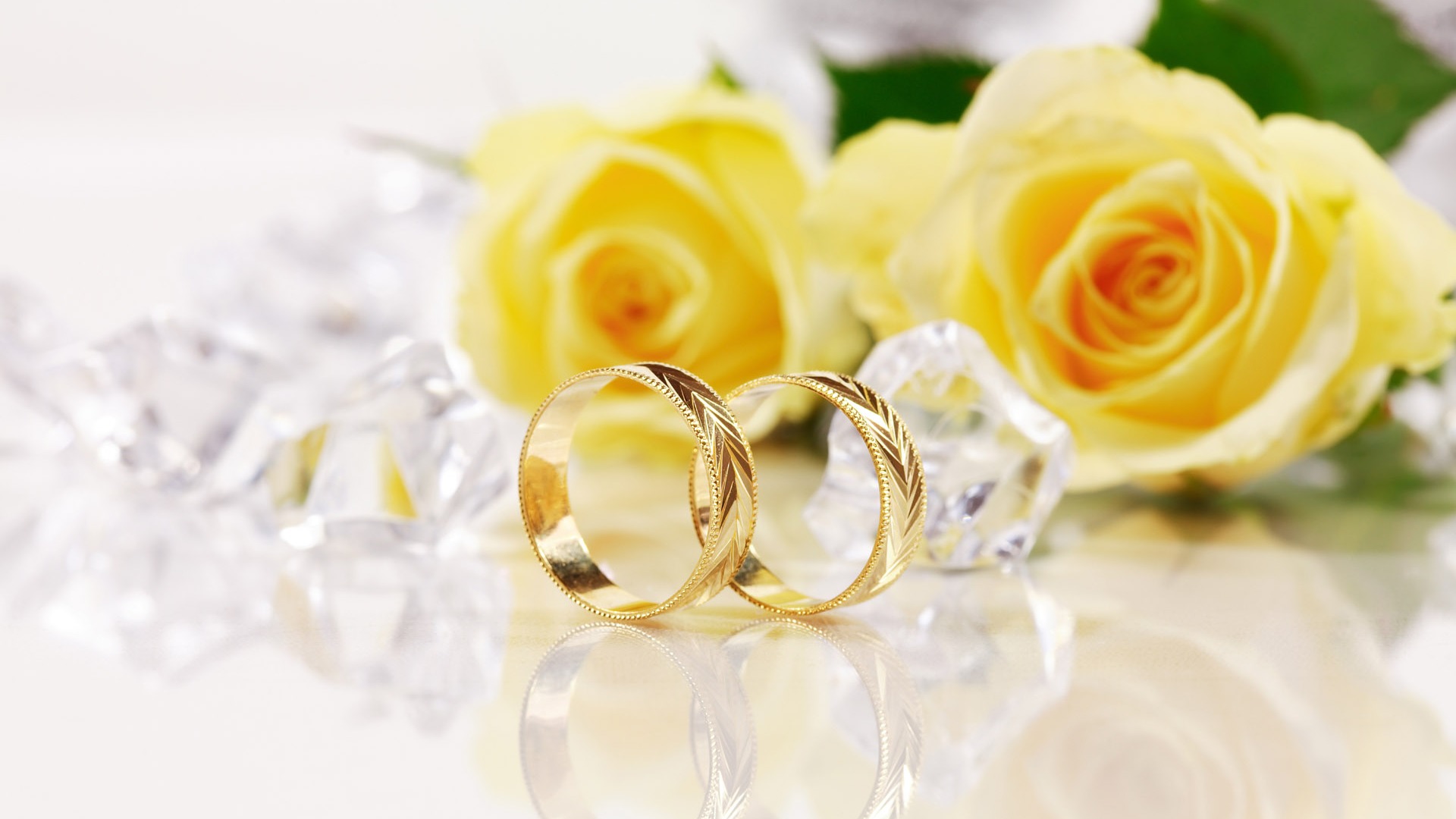descarga gratuita de fondos de pantalla de boda,amarillo,rosa,flor,rosas de jardín,anillo de bodas