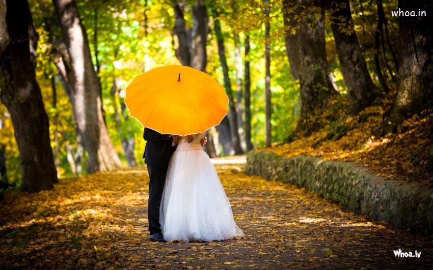 fondo de pantalla de la pareja casada,fotografía,naturaleza,amarillo,paisaje natural,bosque
