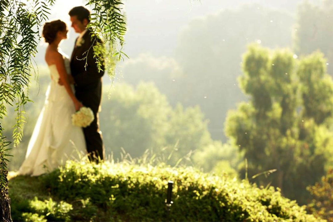 fondo de pantalla de la pareja casada,fotografía,naturaleza,romance,novia,vestido de novia