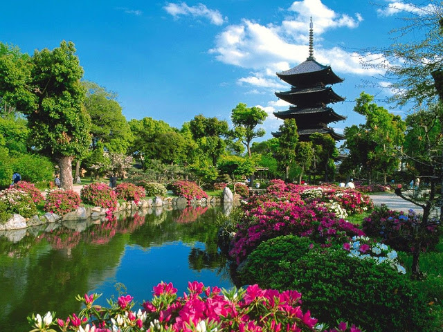 japão wallpaper,natural landscape,nature,botanical garden,garden,flower