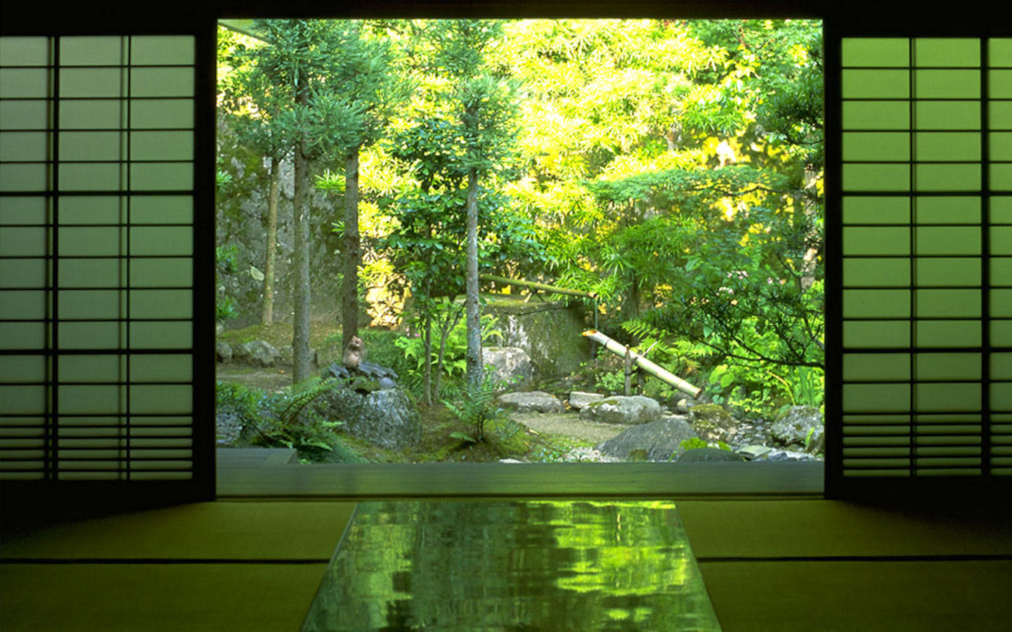 japón naturaleza fondo de pantalla,verde,naturaleza,hoja,árbol,pared