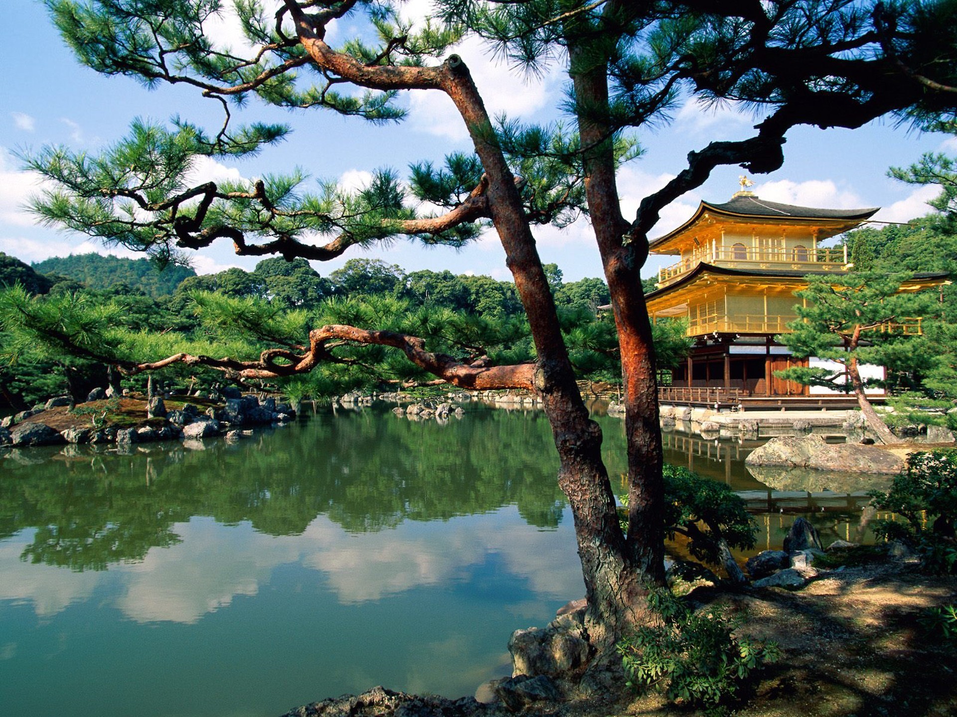 japón naturaleza fondo de pantalla,naturaleza,paisaje natural,árbol,agua,recursos hídricos