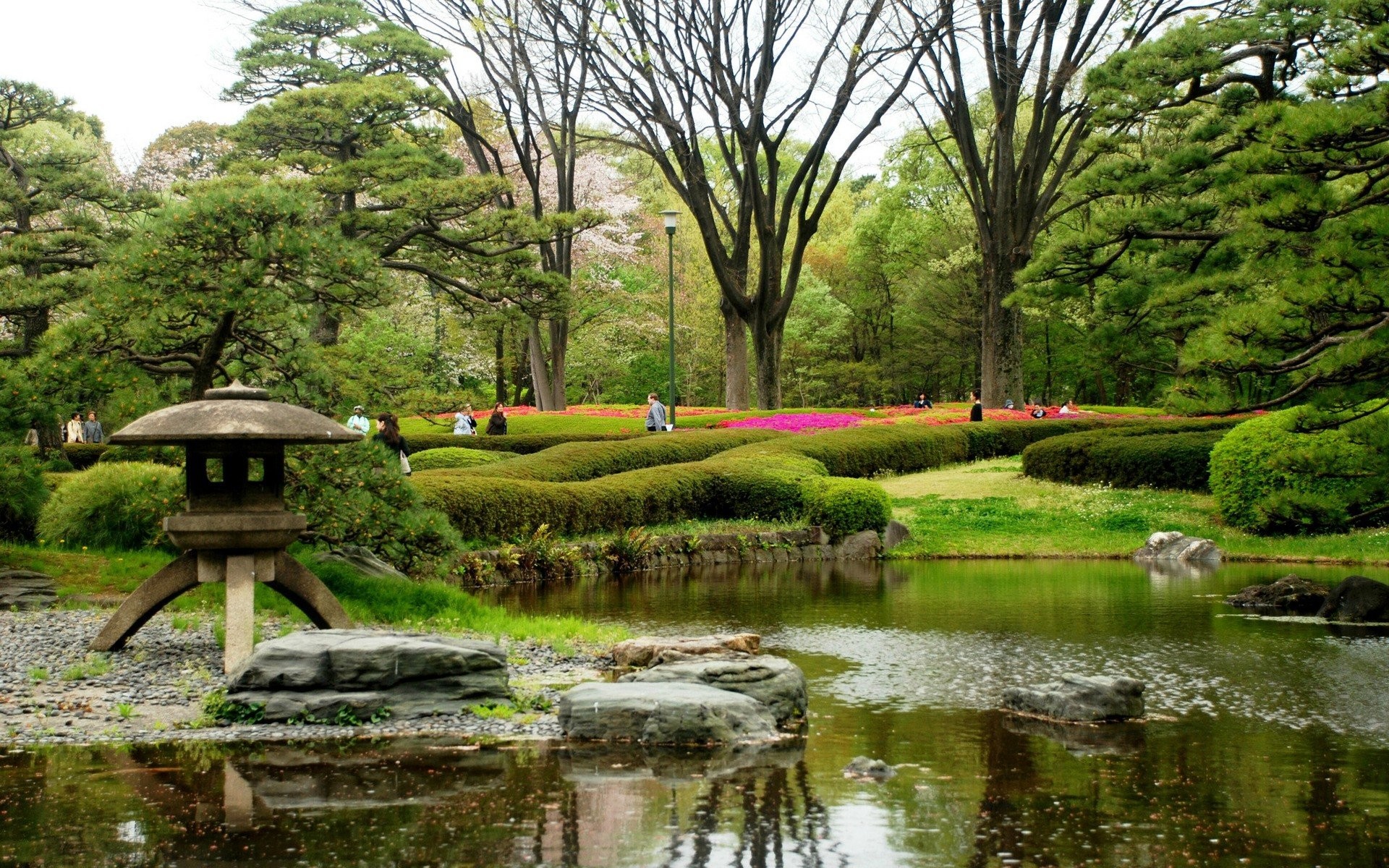 日本の自然の壁紙,自然の風景,自然,庭園,植物園,池