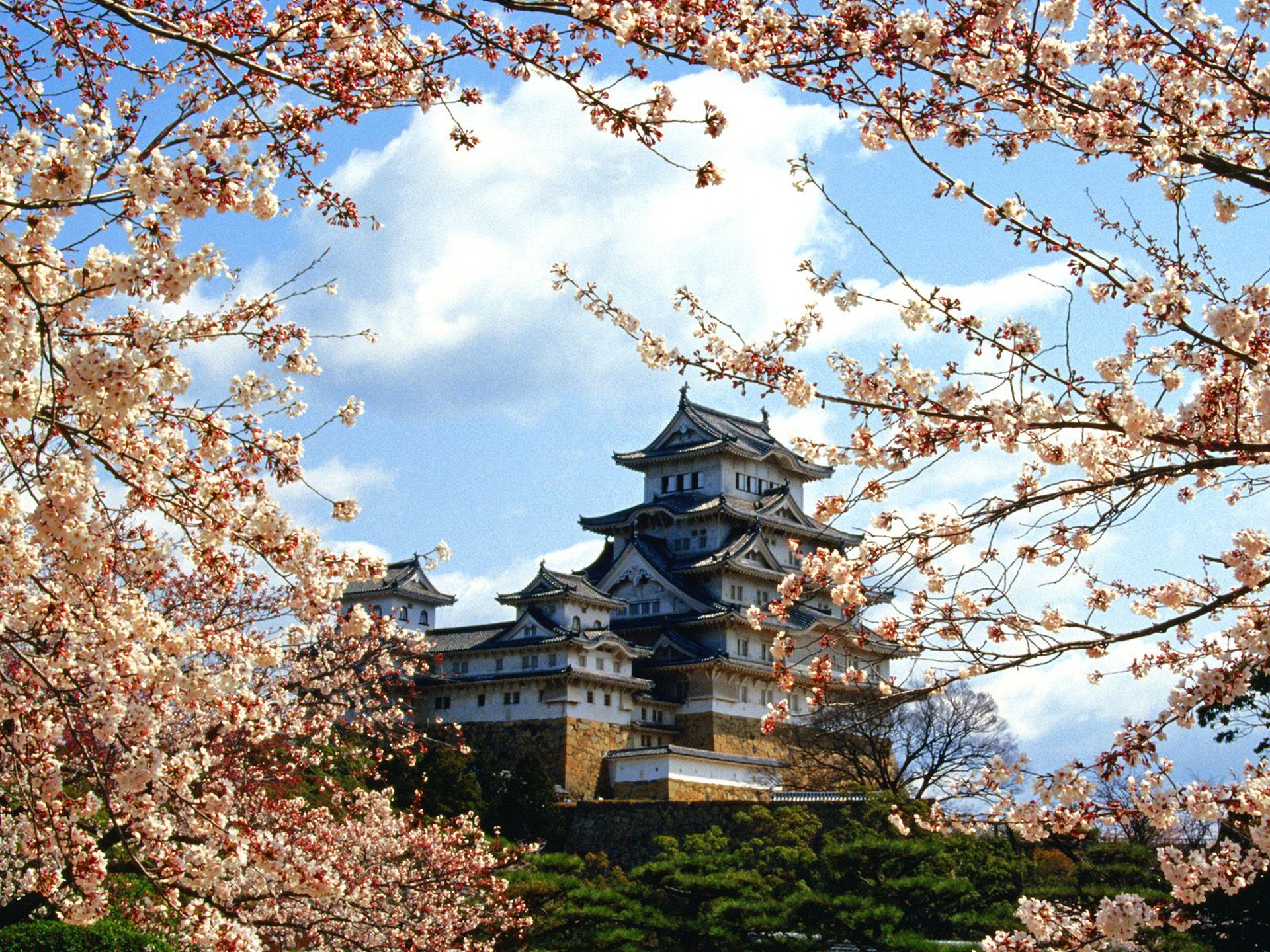 japan nature wallpaper,tree,japanese architecture,flower,blossom,spring