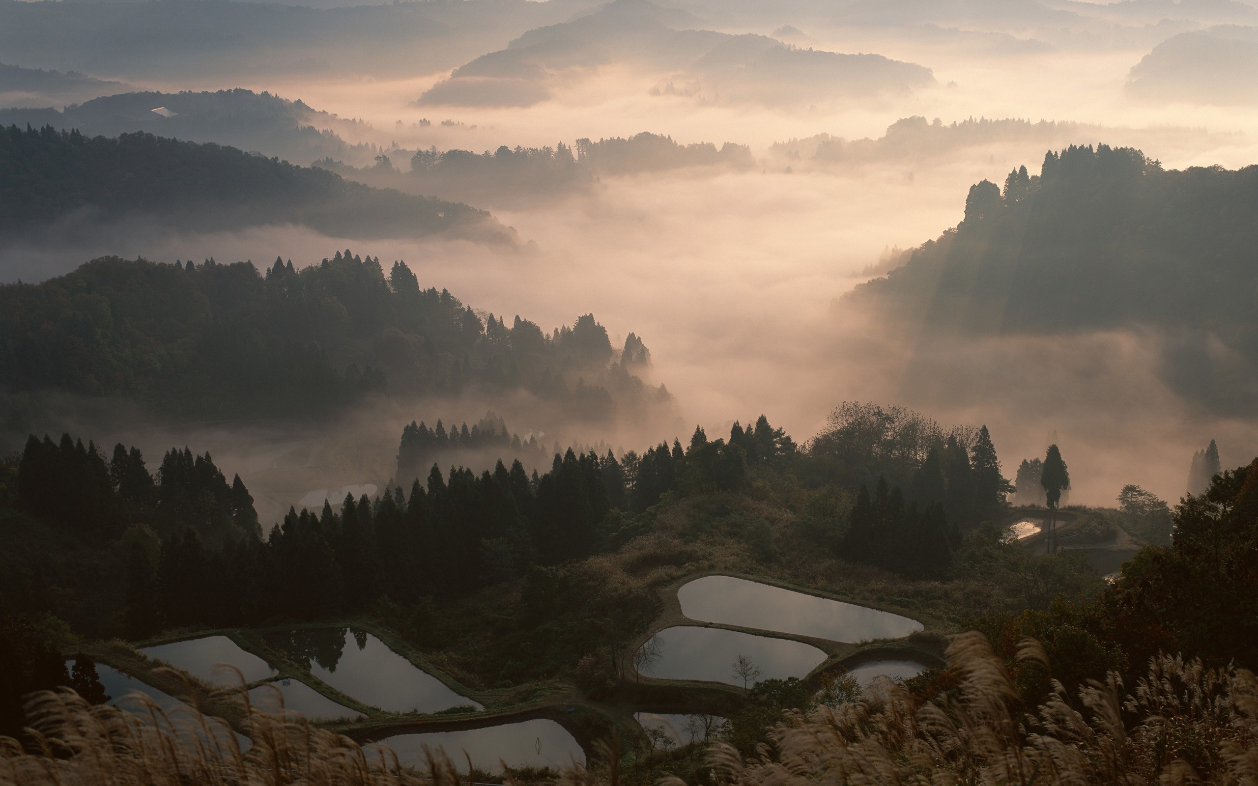 japón naturaleza fondo de pantalla,naturaleza,cielo,paisaje natural,niebla,mañana