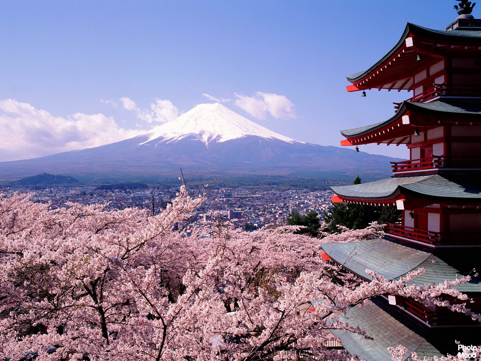 japón naturaleza fondo de pantalla,arquitectura japonesa,pagoda,flor,flor de cerezo,arquitectura china