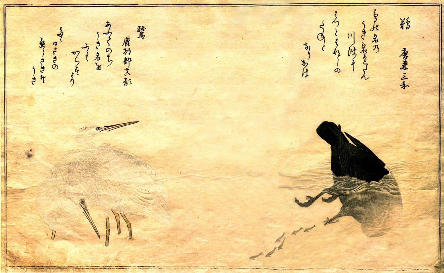 japanische schreibtapete,krähe,rabe,kalligraphie,krähe wie vogel,schriftart