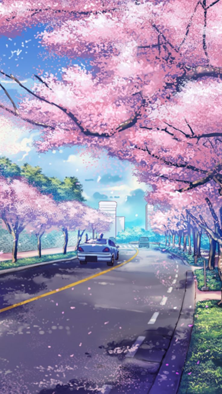 carta da parati telefono giapponese,cielo,fiorire,fiore,primavera,fiore di ciliegio