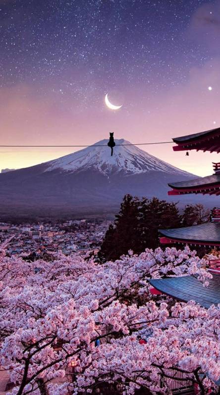 japan handy wallpaper,natur,himmel,natürliche landschaft,berg,schnee