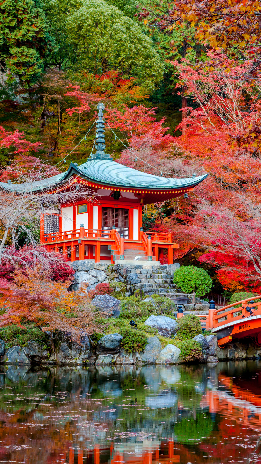 carta da parati telefono giapponese,natura,paesaggio naturale,riflessione,albero,foglia