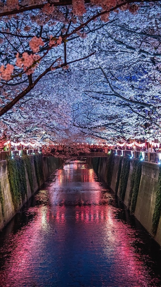 일본 전화 벽지,자연,수로,꽃,나무,운하