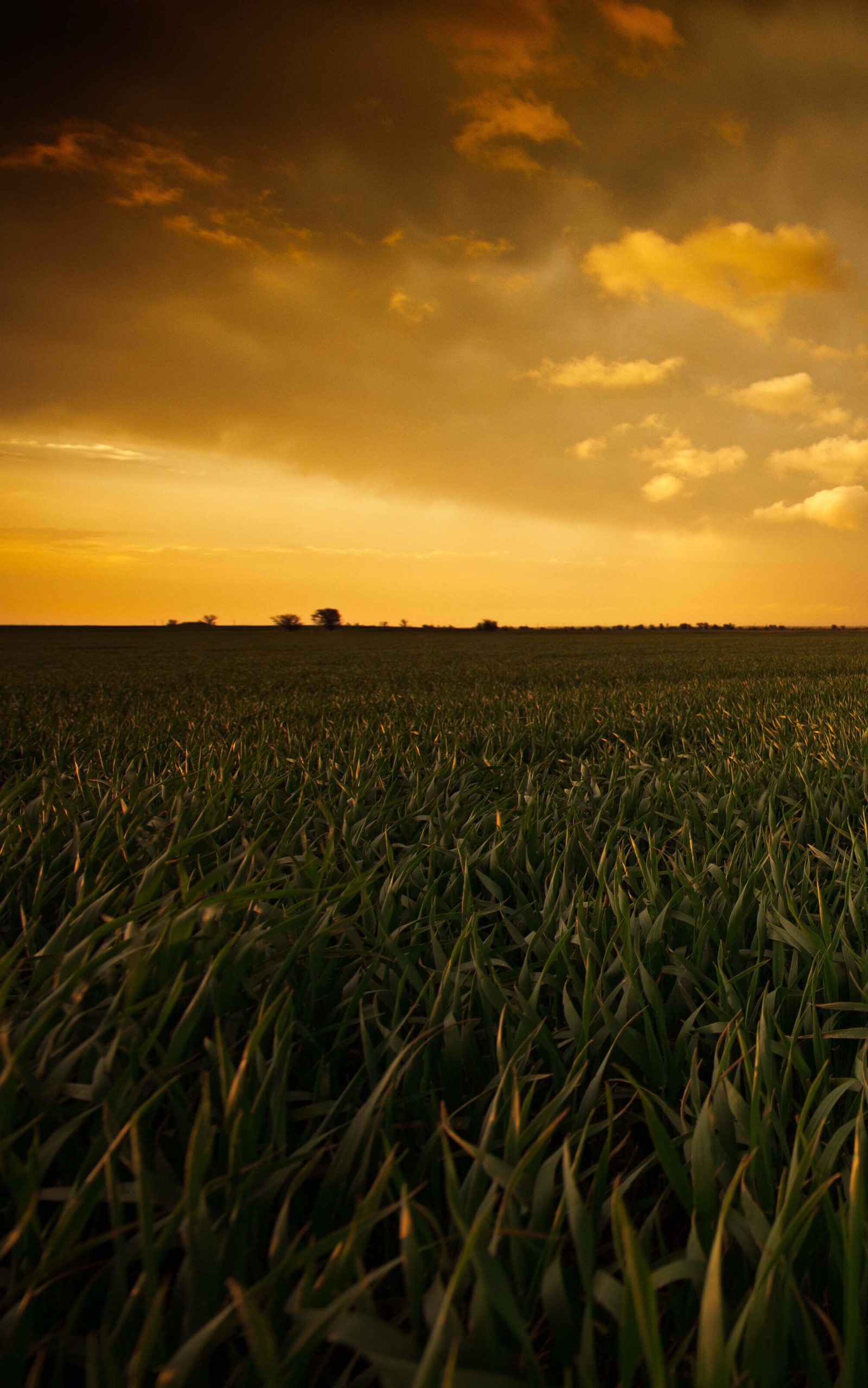 amazon fire wallpaper,cielo,campo,naturaleza,horizonte,paisaje natural