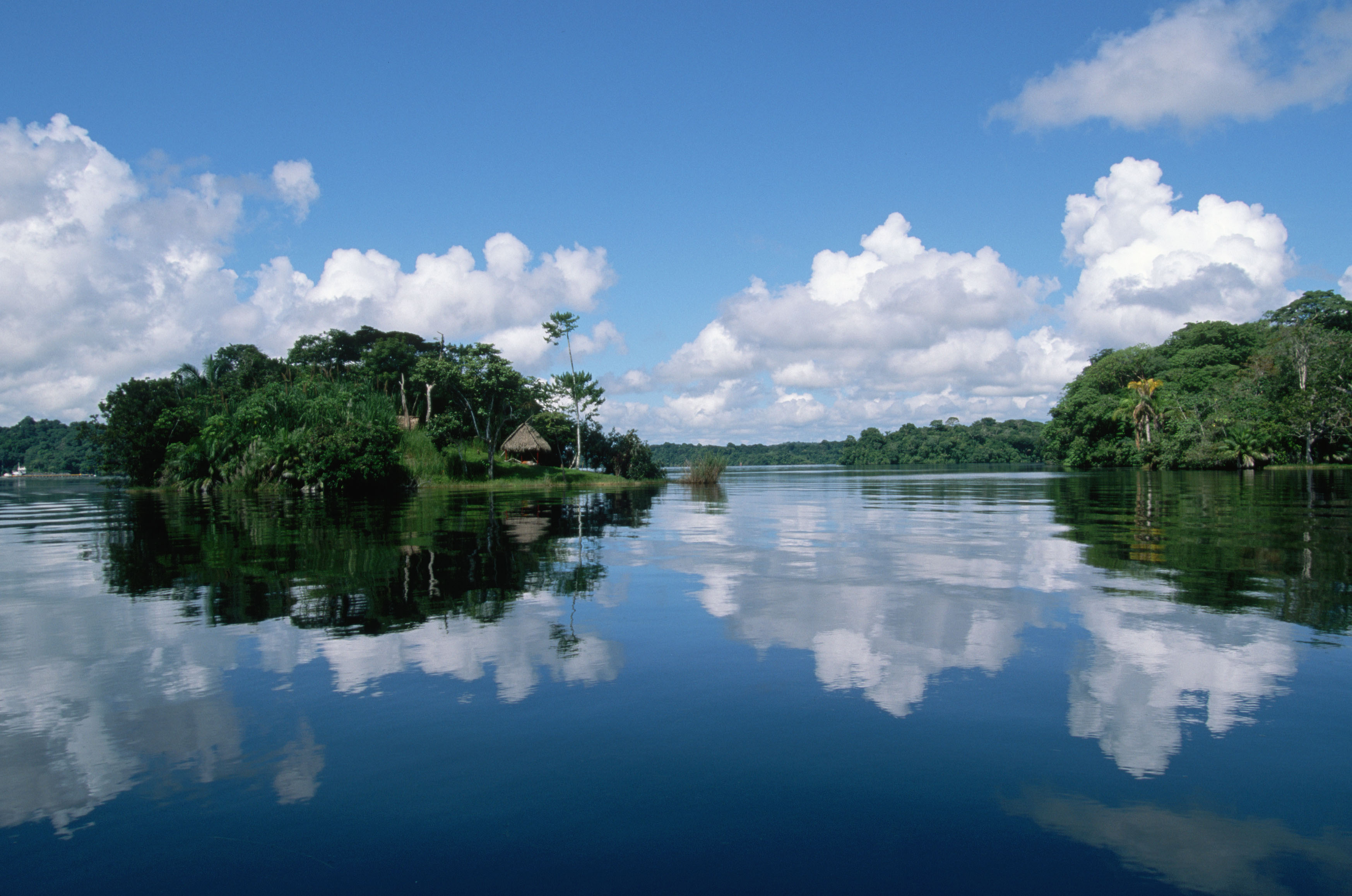 amazon wallpaper hd,risorse idriche,corpo d'acqua,riflessione,natura,cielo