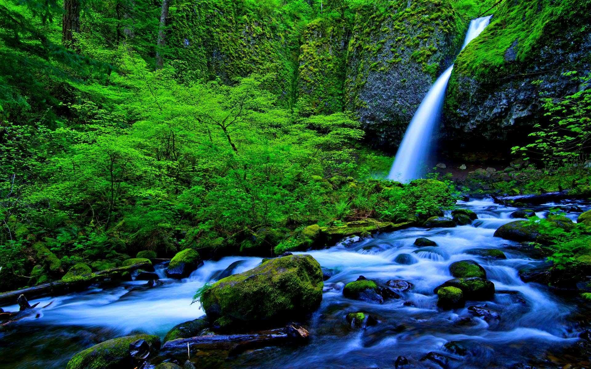 fond d'écran amazon hd,plan d'eau,paysage naturel,la nature,ressources en eau,courant