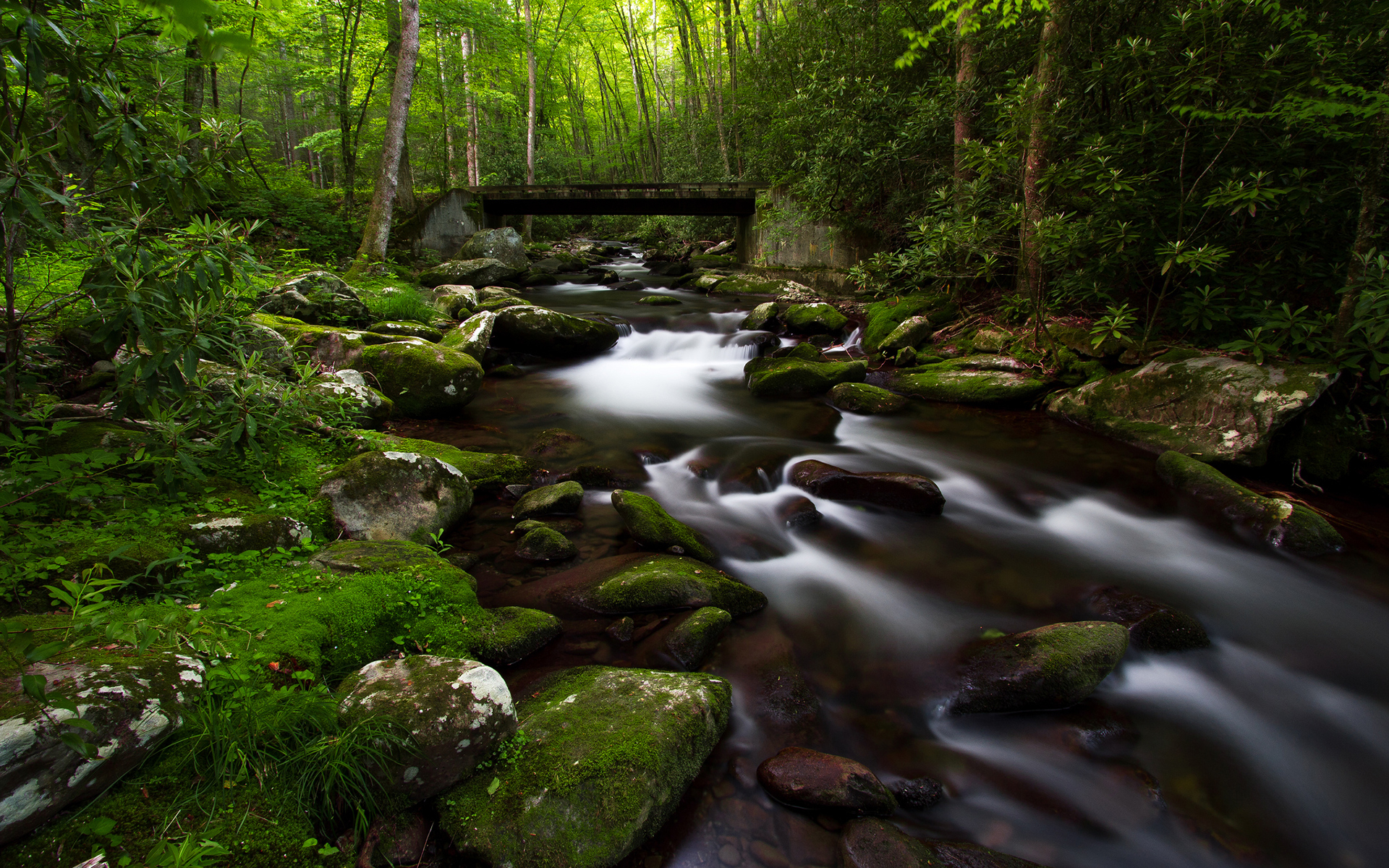 amazon wallpaper hd,corpo d'acqua,natura,ruscello,paesaggio naturale,acqua