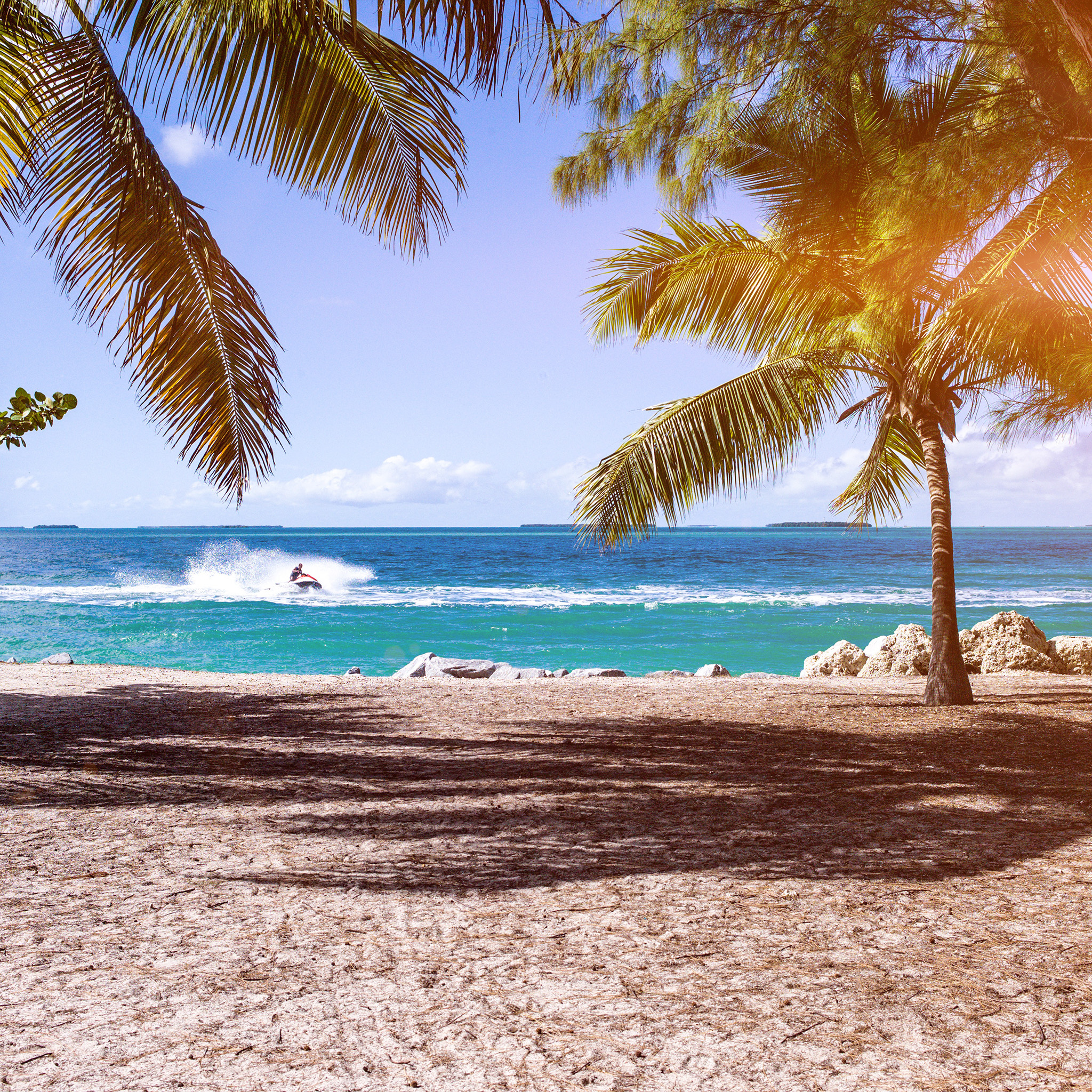 nature beach wallpaper,tree,palm tree,shore,vacation,beach