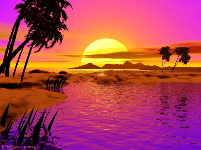 animated beach wallpaper,nature,natural landscape,sky,sunset,landscape