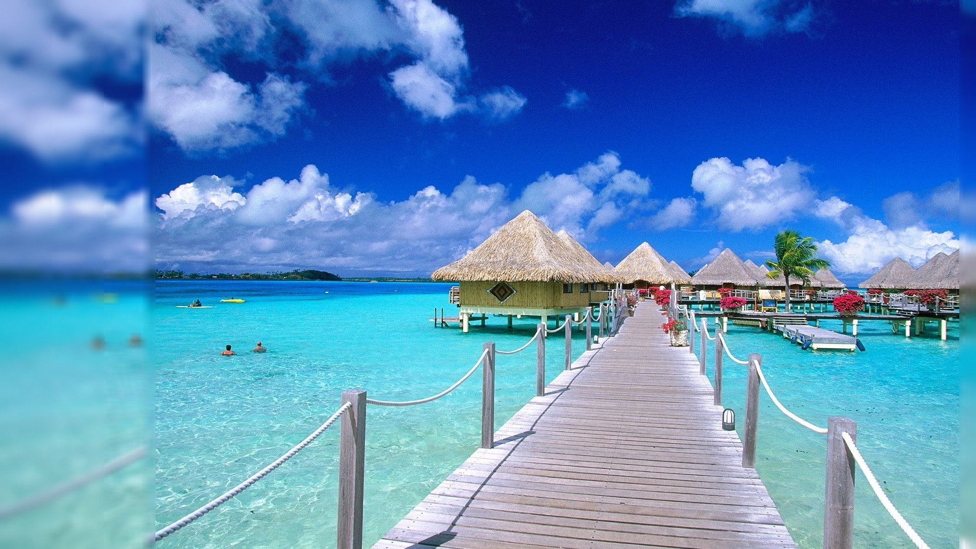 animierte strandtapete,karibik,himmel,urlaub,natürliche landschaft,meer