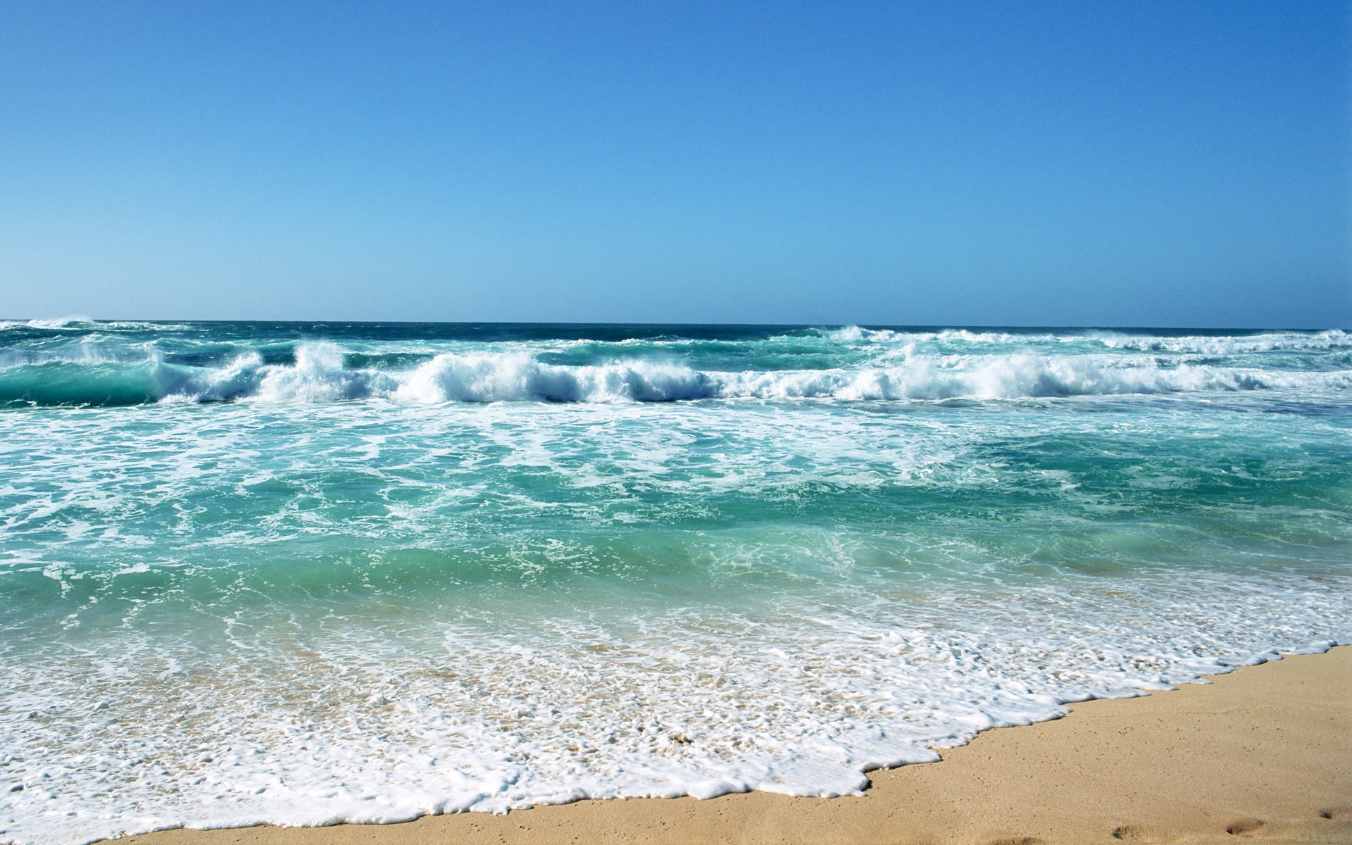 fond d'écran animé de plage,vague,plan d'eau,mer,océan,rive