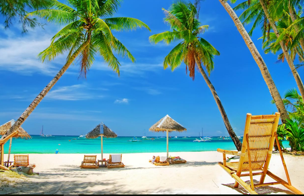 fond d'écran plage ensoleillée,vacances,caraïbes,arbre,plage,palmier