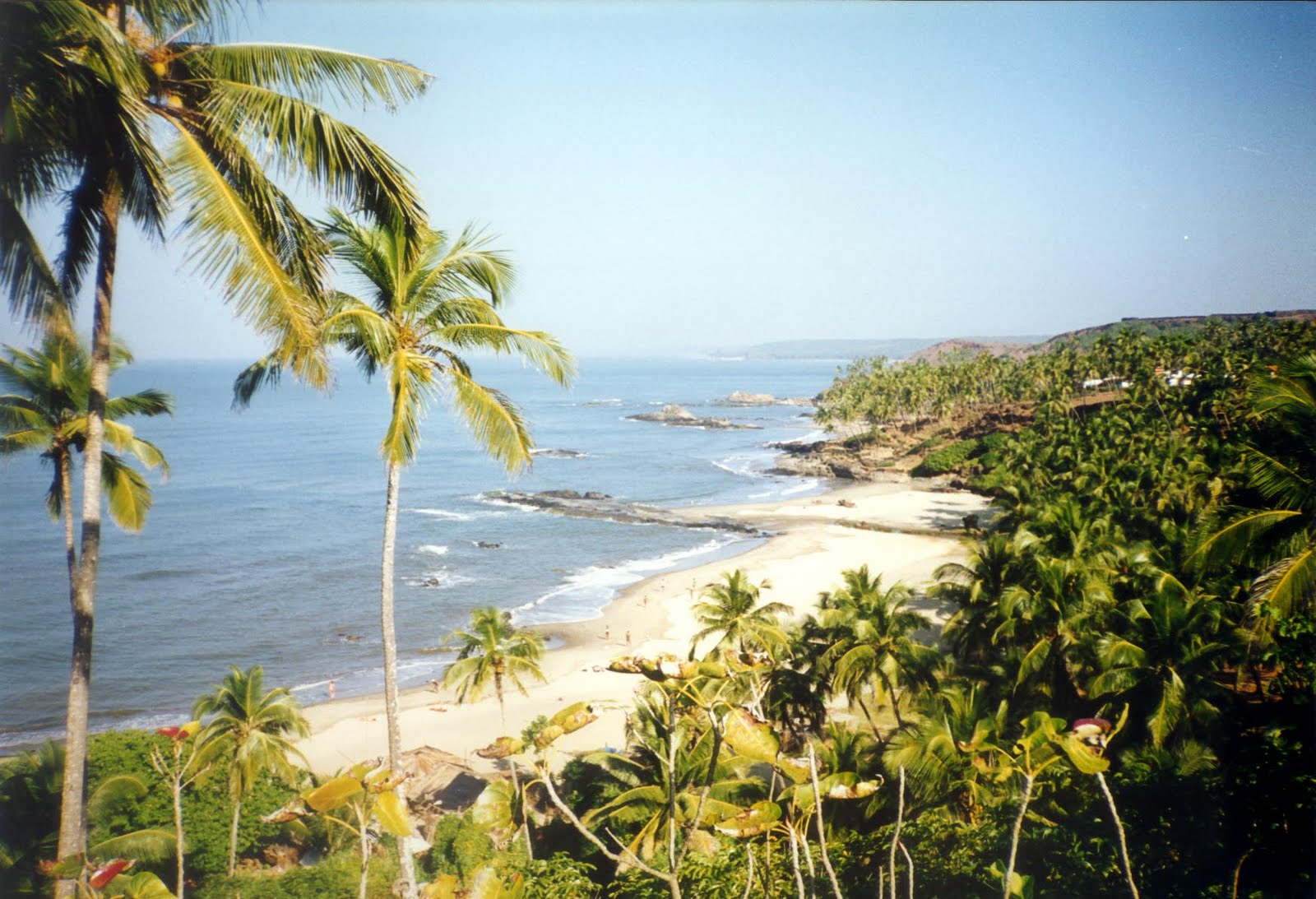 goa beach wallpaper,natura,riva,paesaggio naturale,costa,caraibico