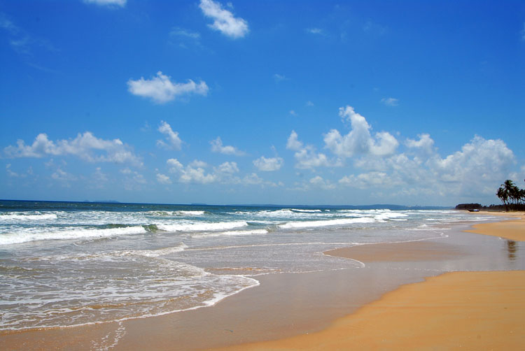 goa beach wallpaper,corpo d'acqua,spiaggia,mare,cielo,costa
